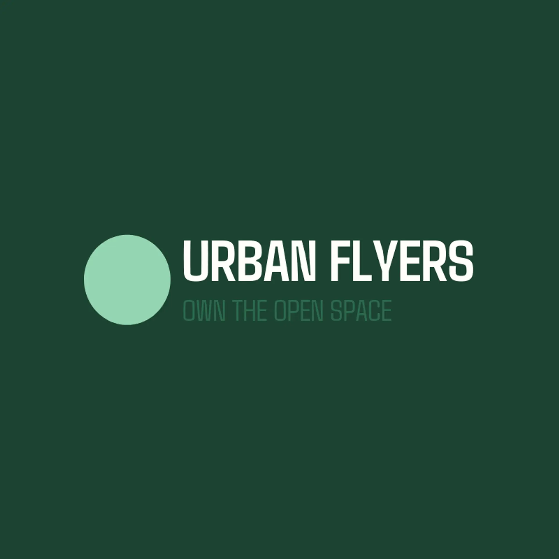 Urban Flyers logo for disc