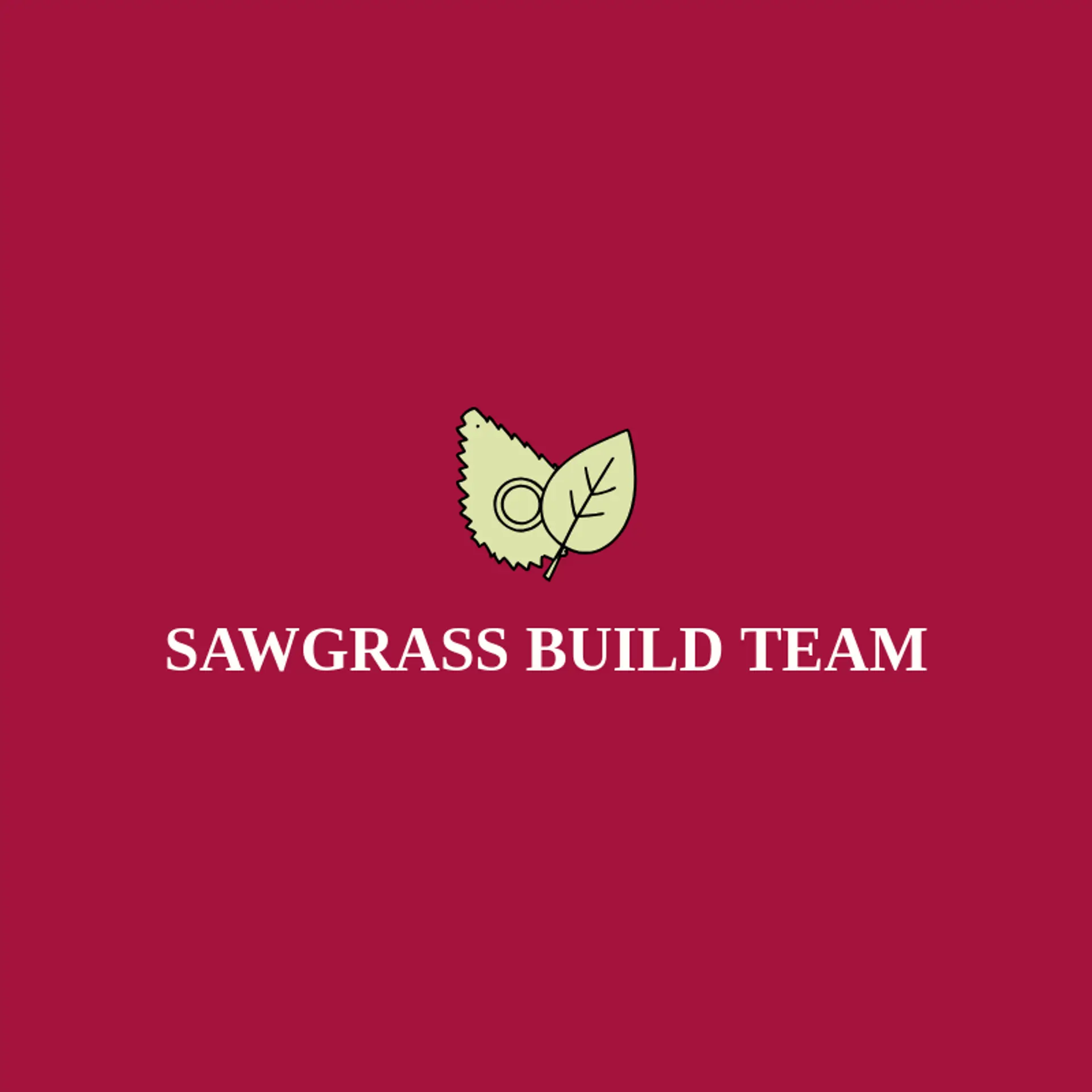 Sawgrass Build Team logo for contractor