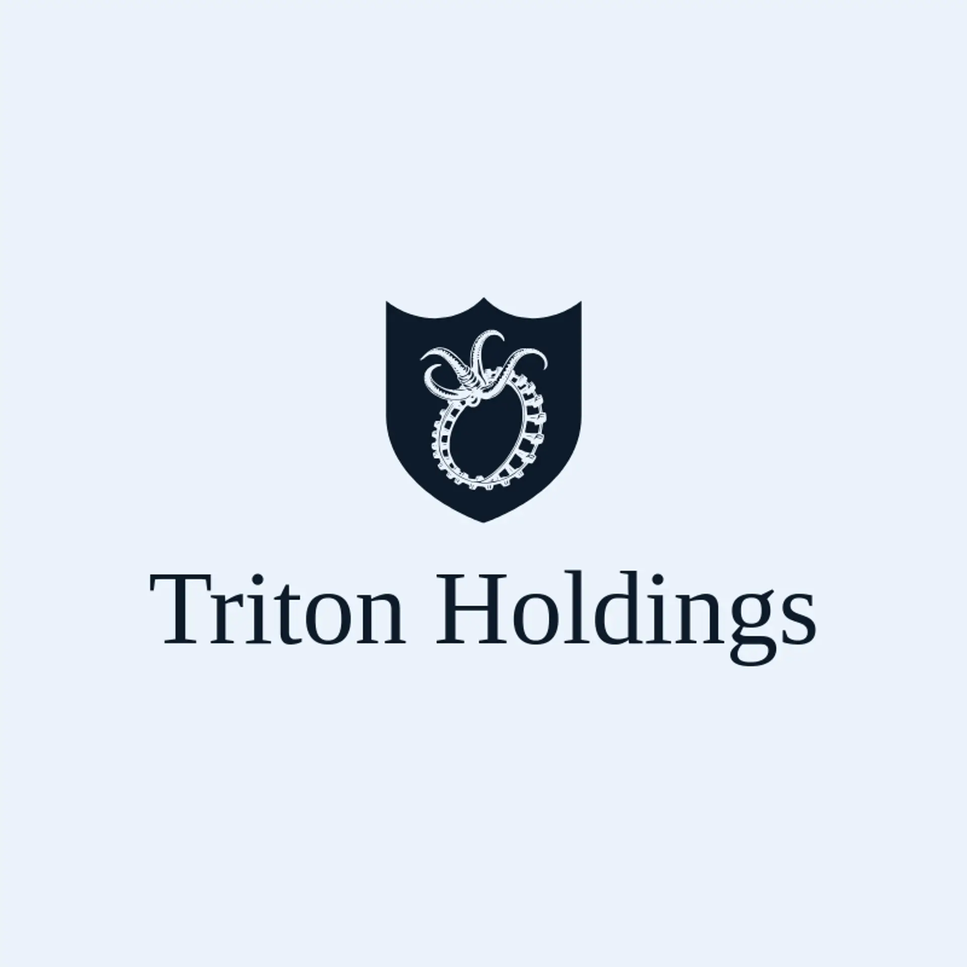 Triton Holdings logo for kraken