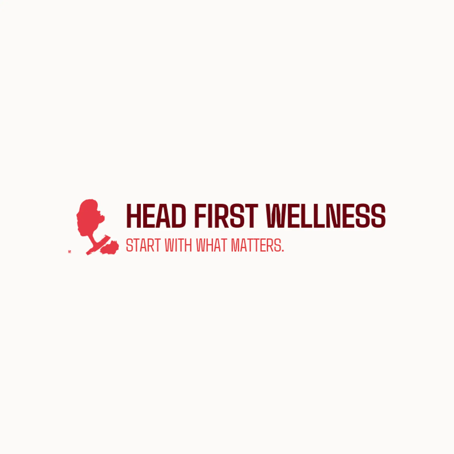 Head First Wellness logo for head