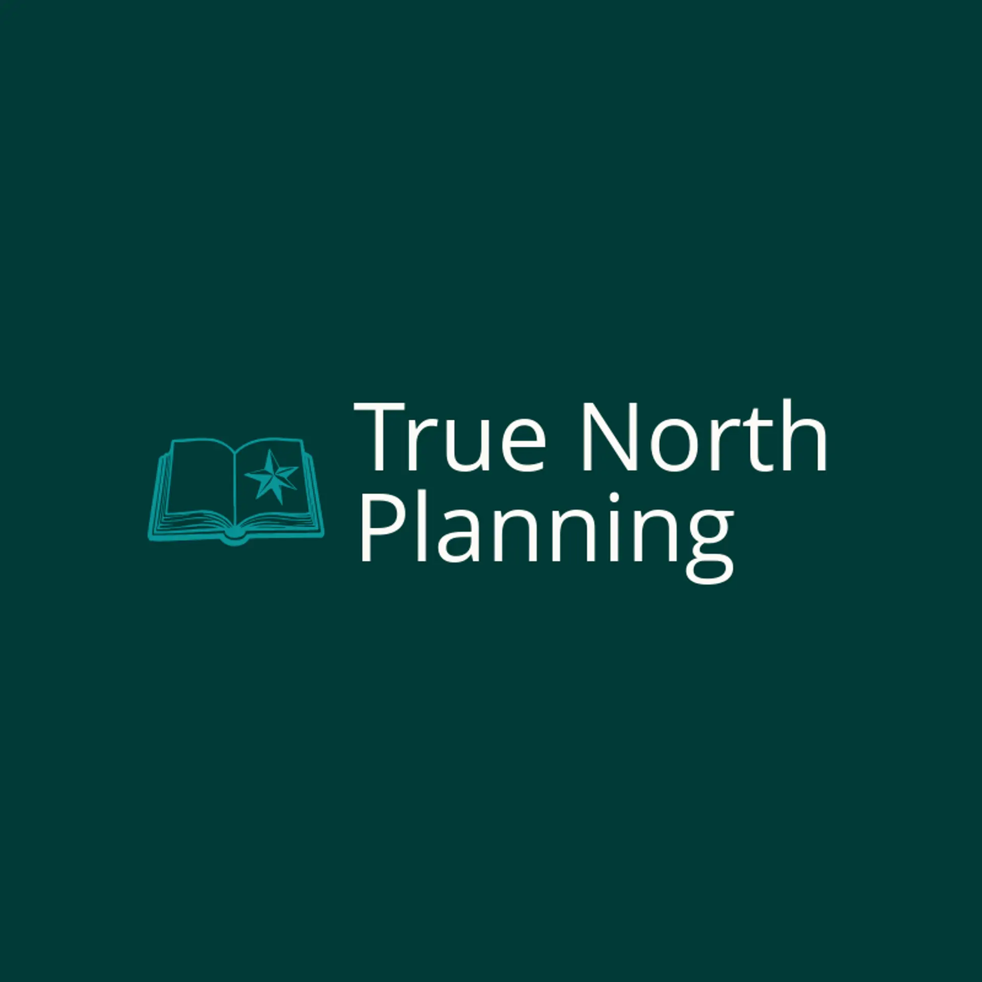 True North Planning logo for financial advisor