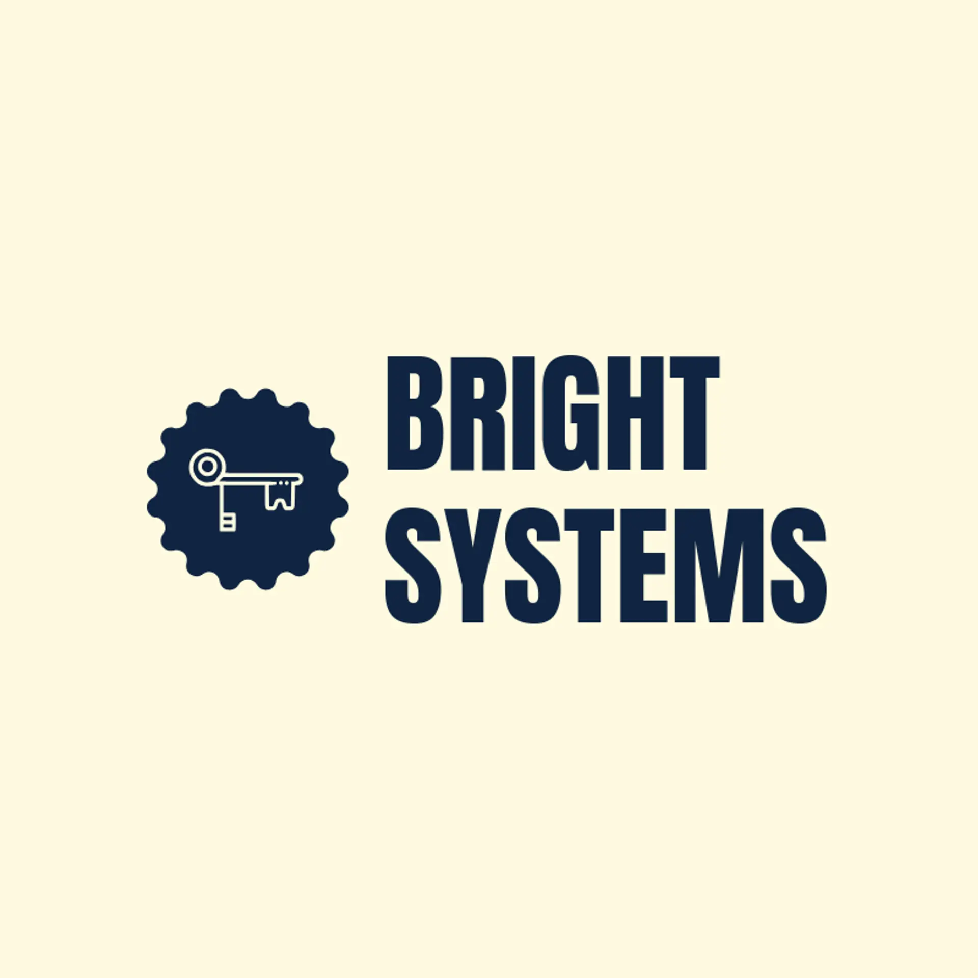 Bright Systems logo for access