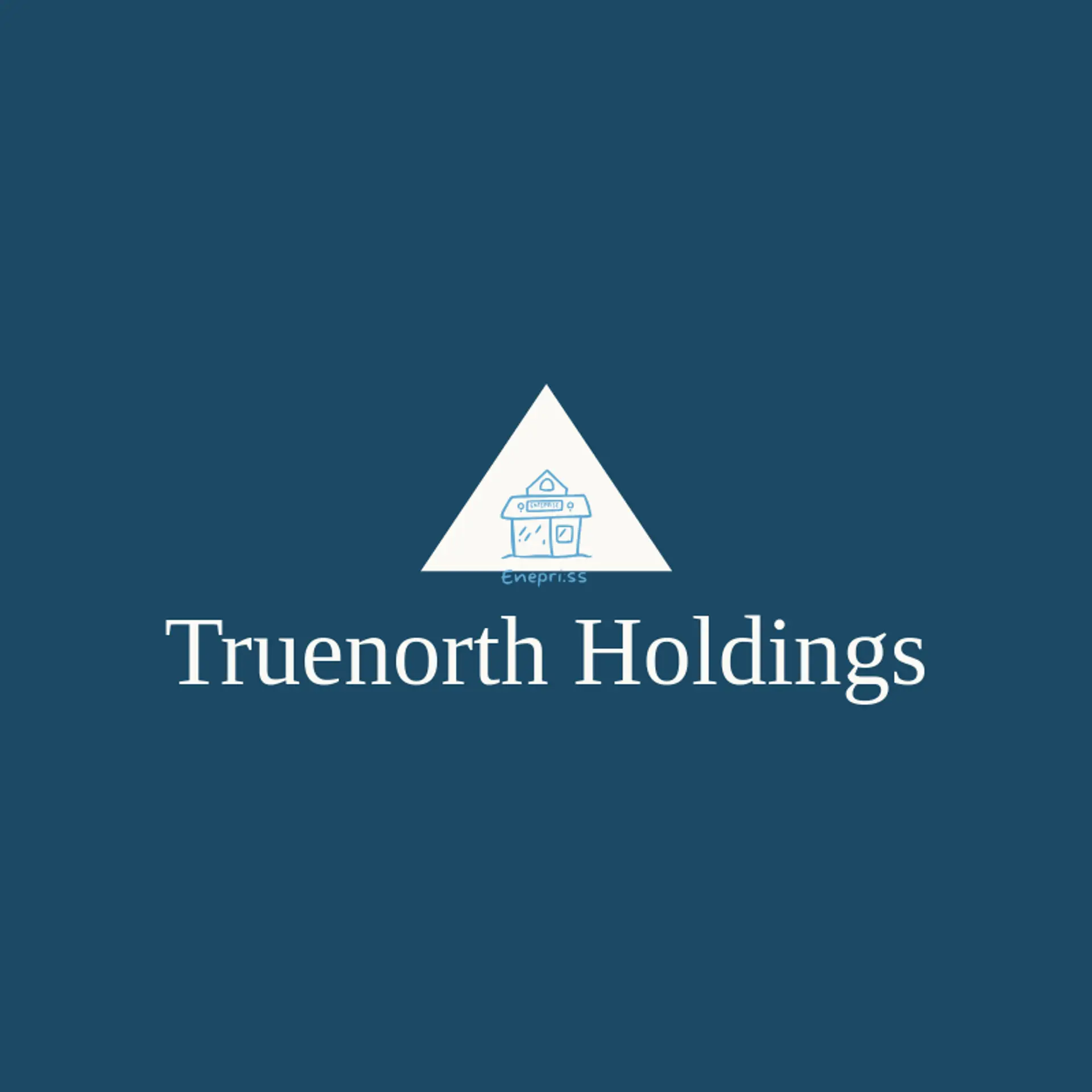 TrueNorth Holdings logo for enterprise