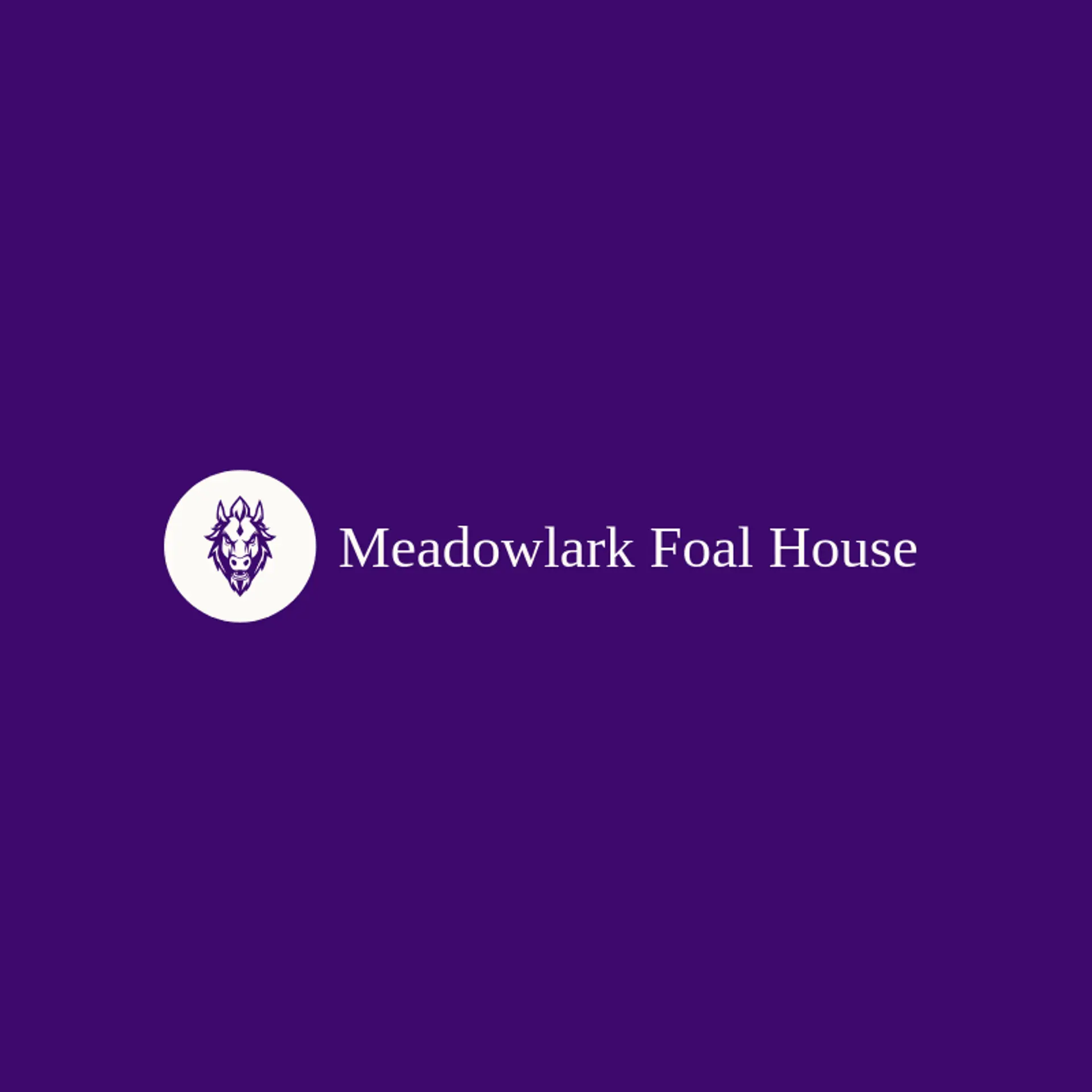 Meadowlark Foal House logo for colt