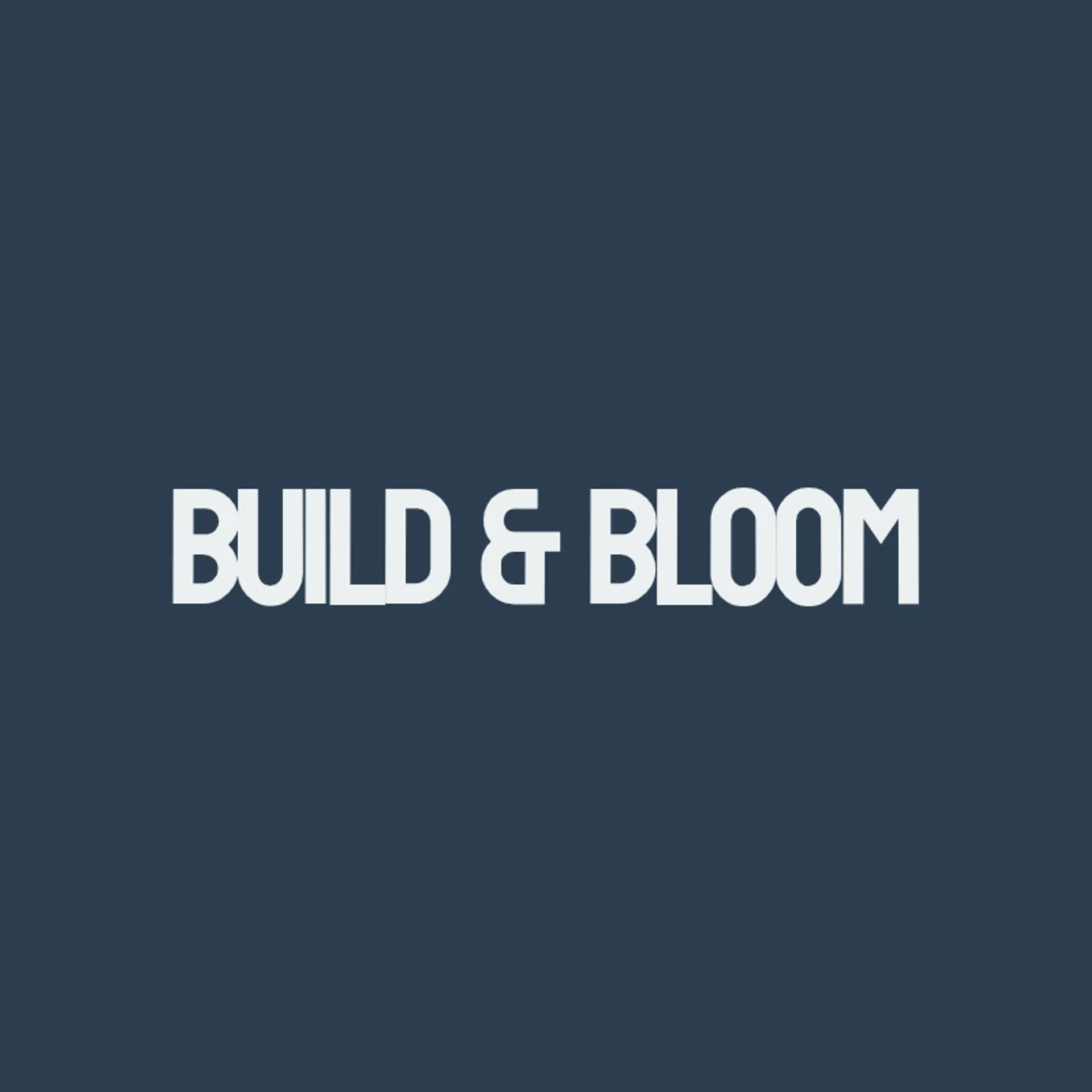 VibeVilla logo for creative real estate