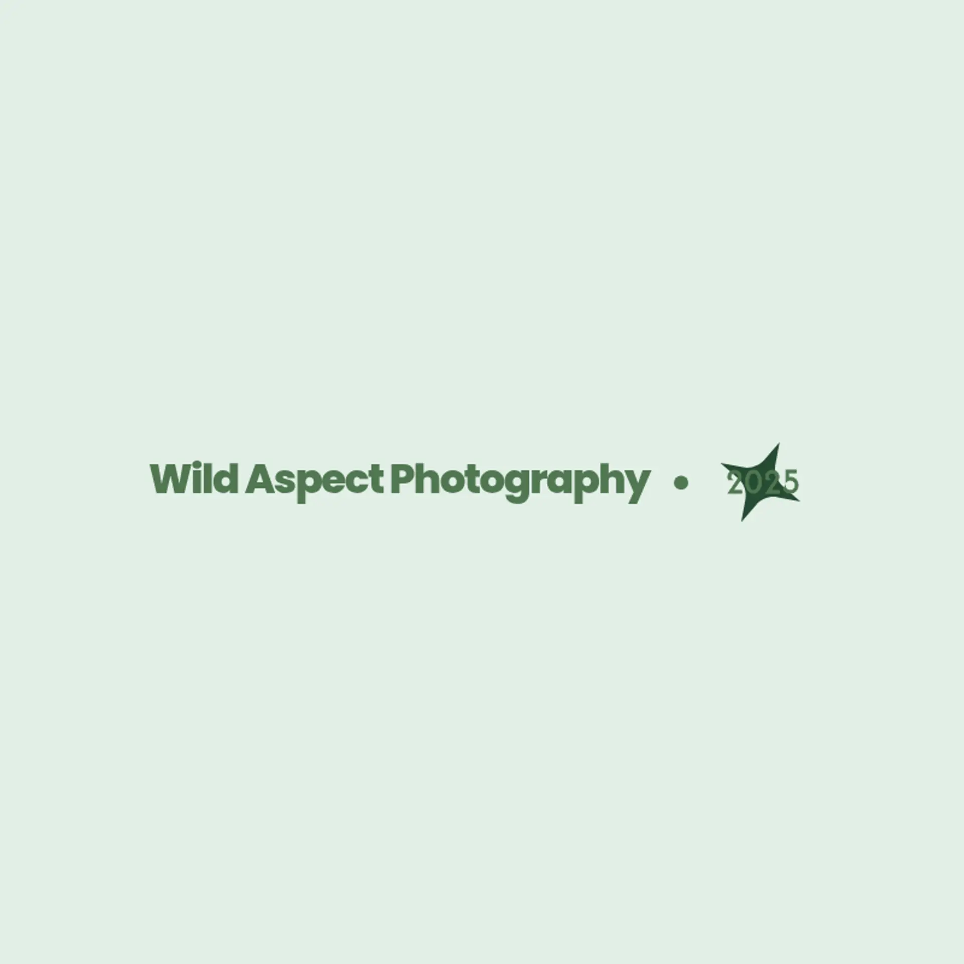 Wild Vista Images logo for wildlife photography