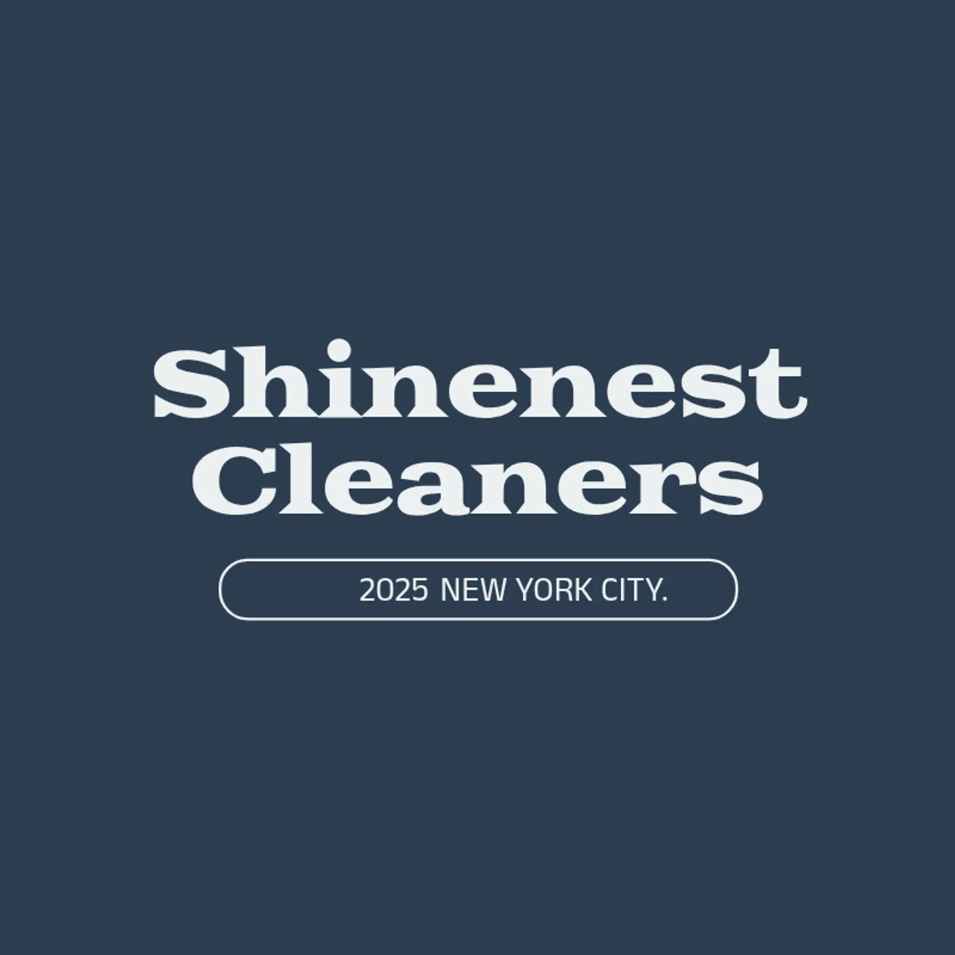 ShineNest Cleaners logo for blg cleaning service
