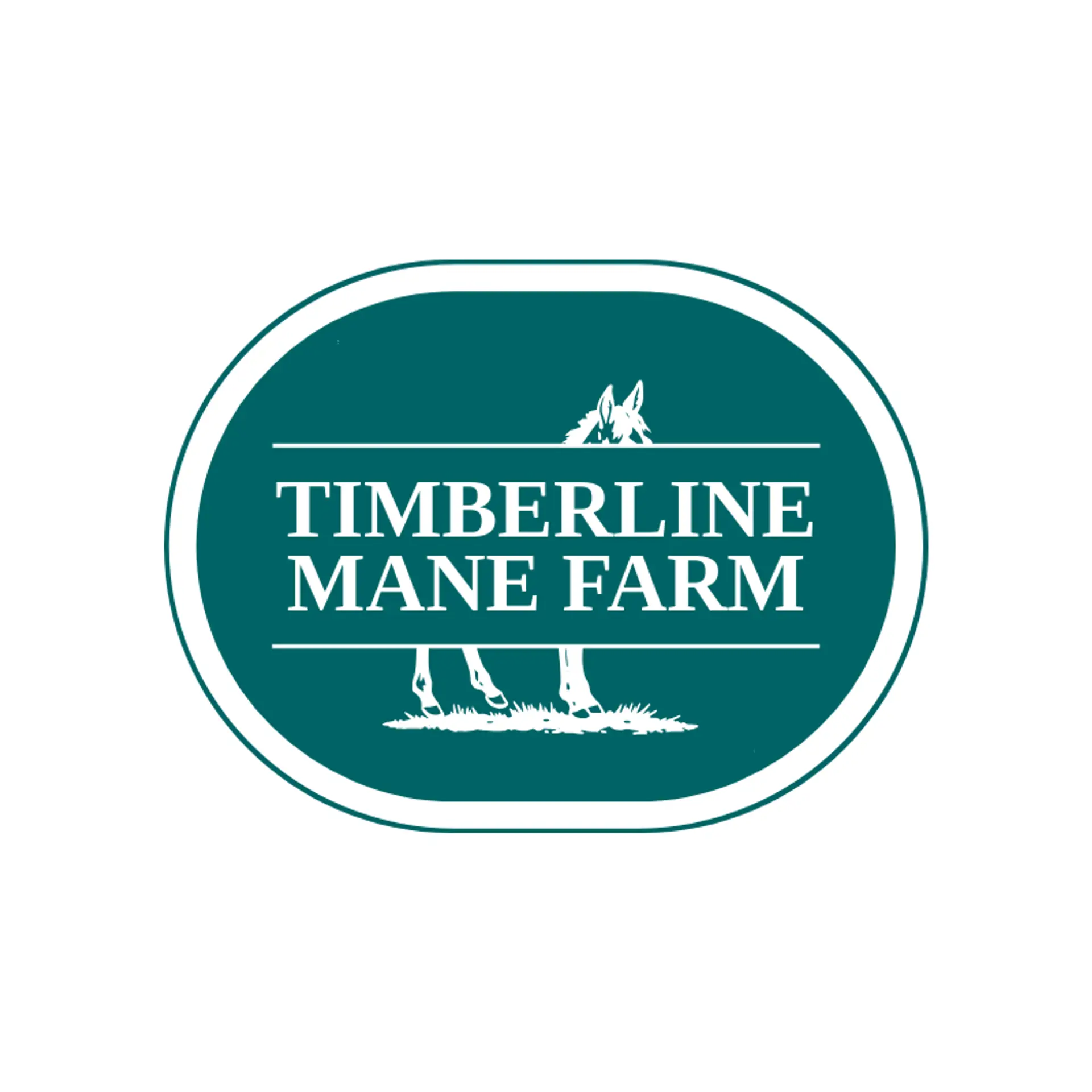 Timberline Mane Farm logo for colt
