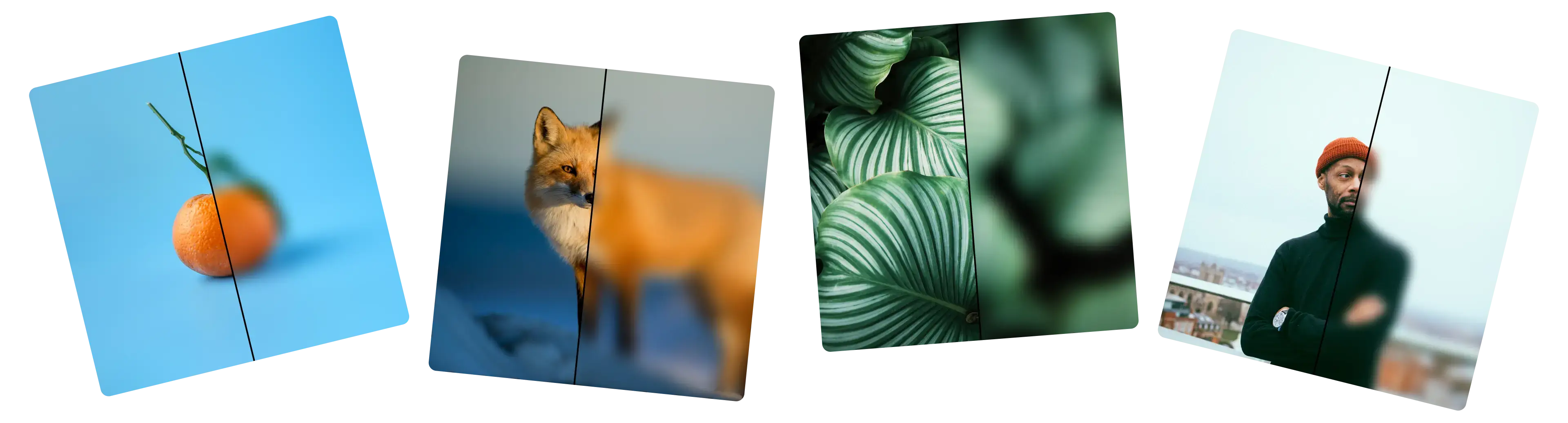 Blur Photos Online for Free