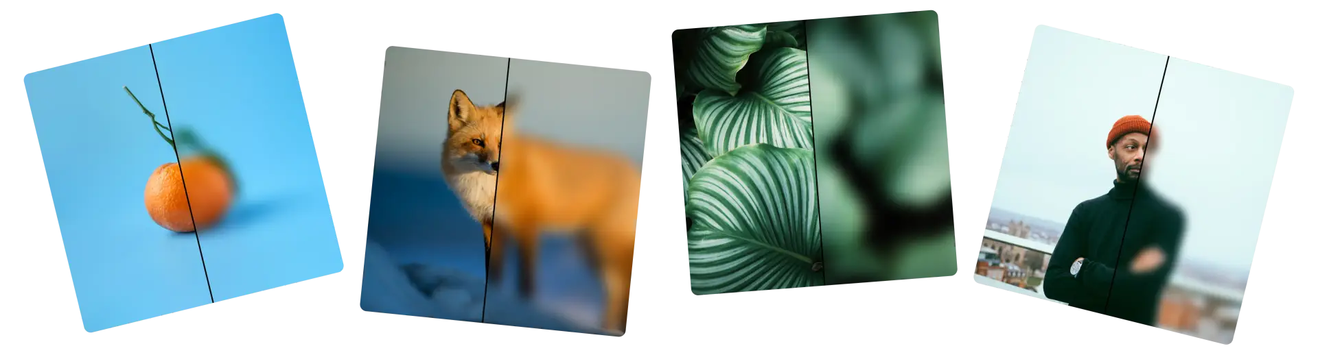 Blur Photos Online for Free