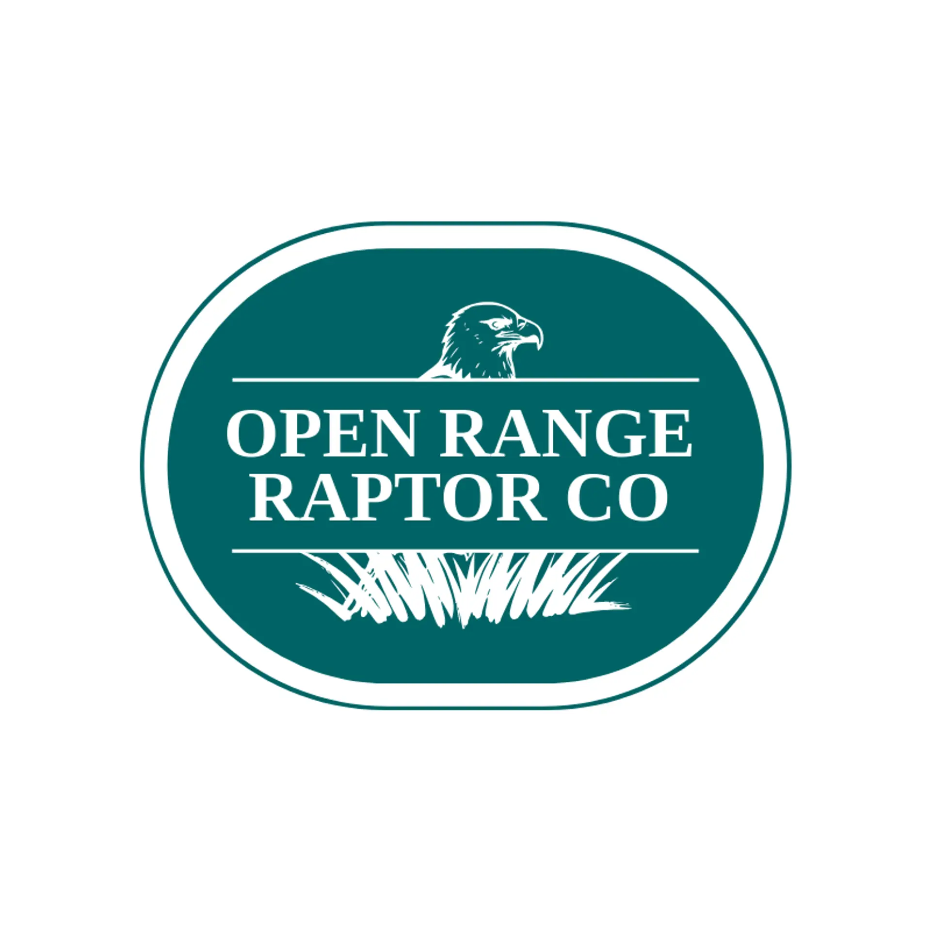 Open Range Raptor Co logo for bald eagle