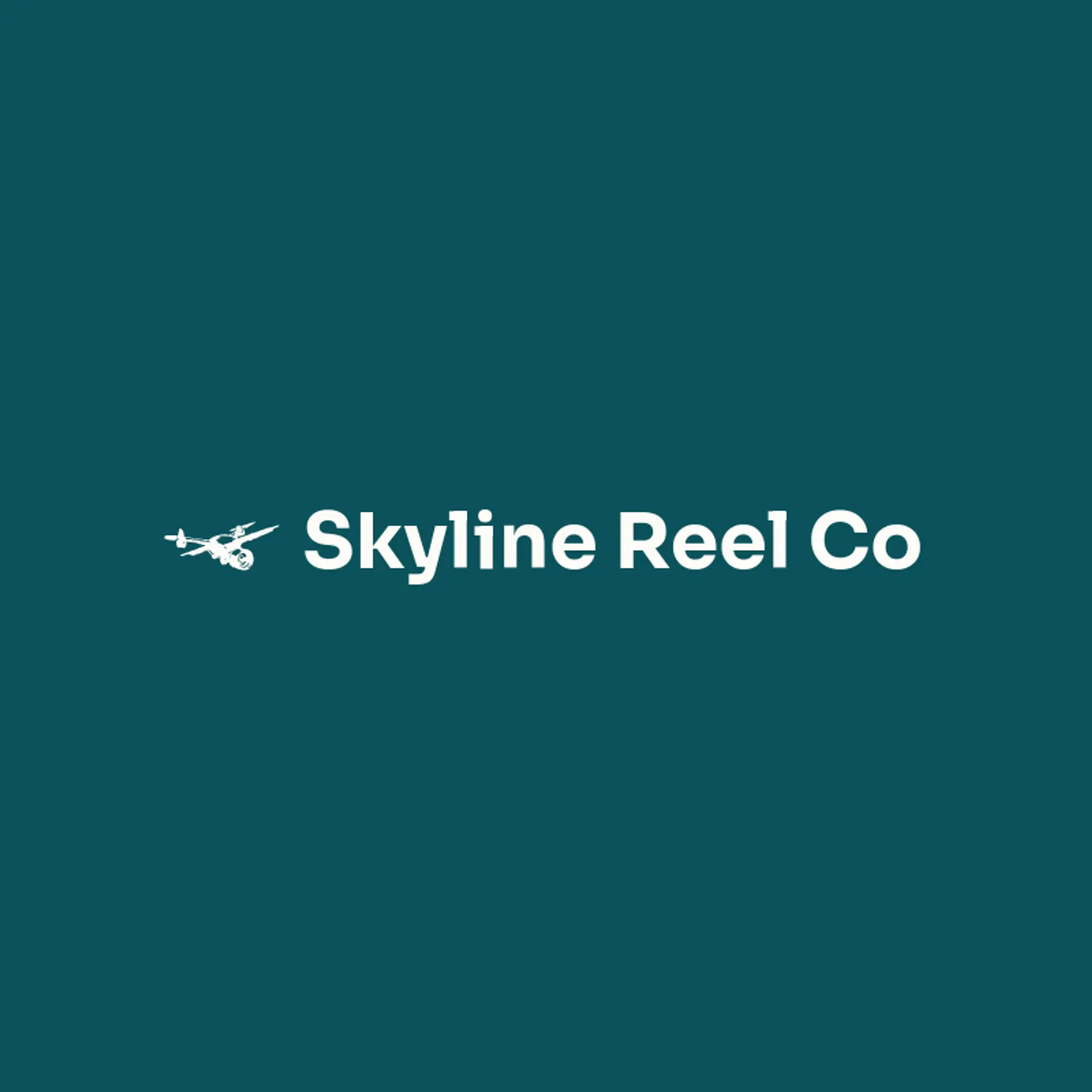Skyline Reel Co logo for video