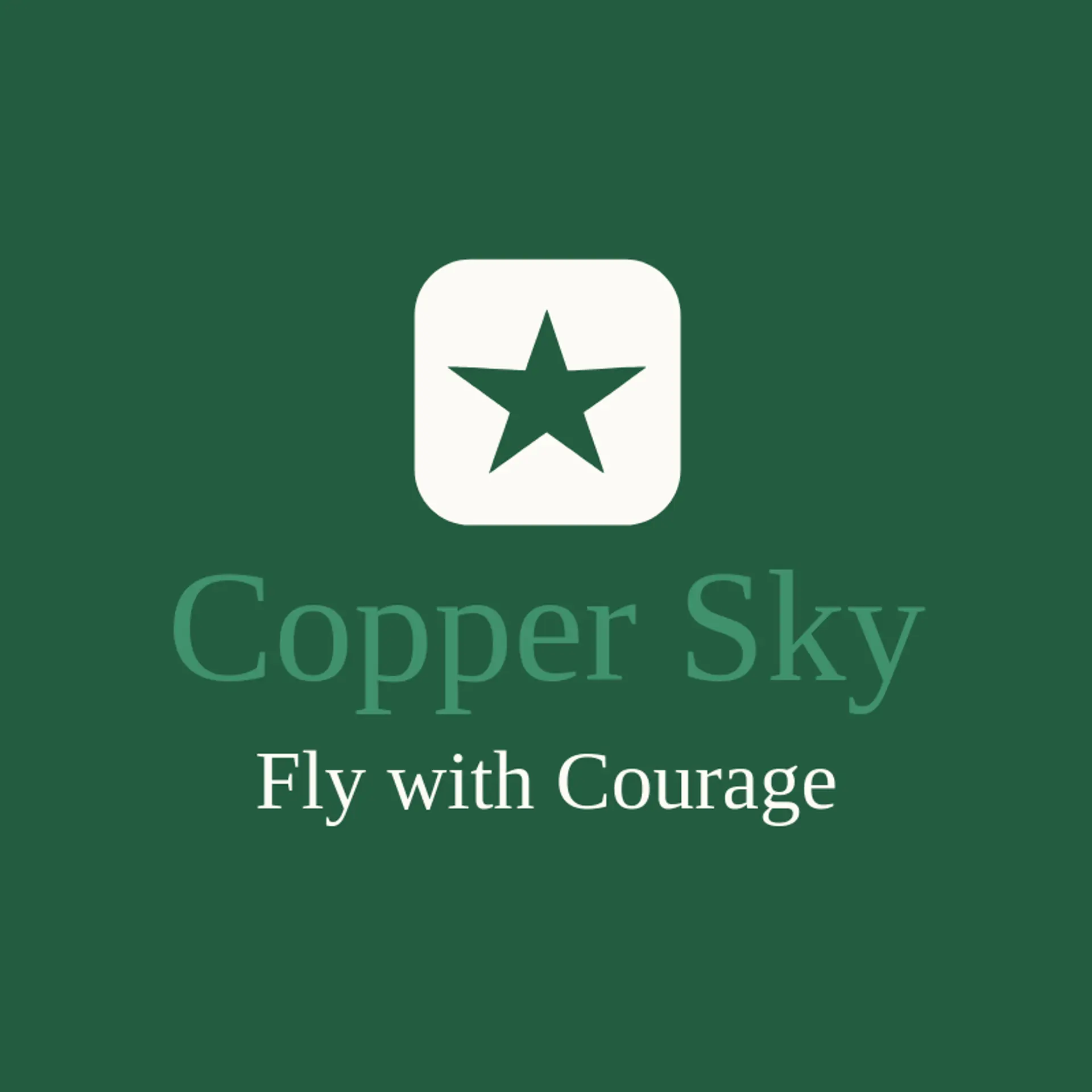 Copper Sky logo for air force
