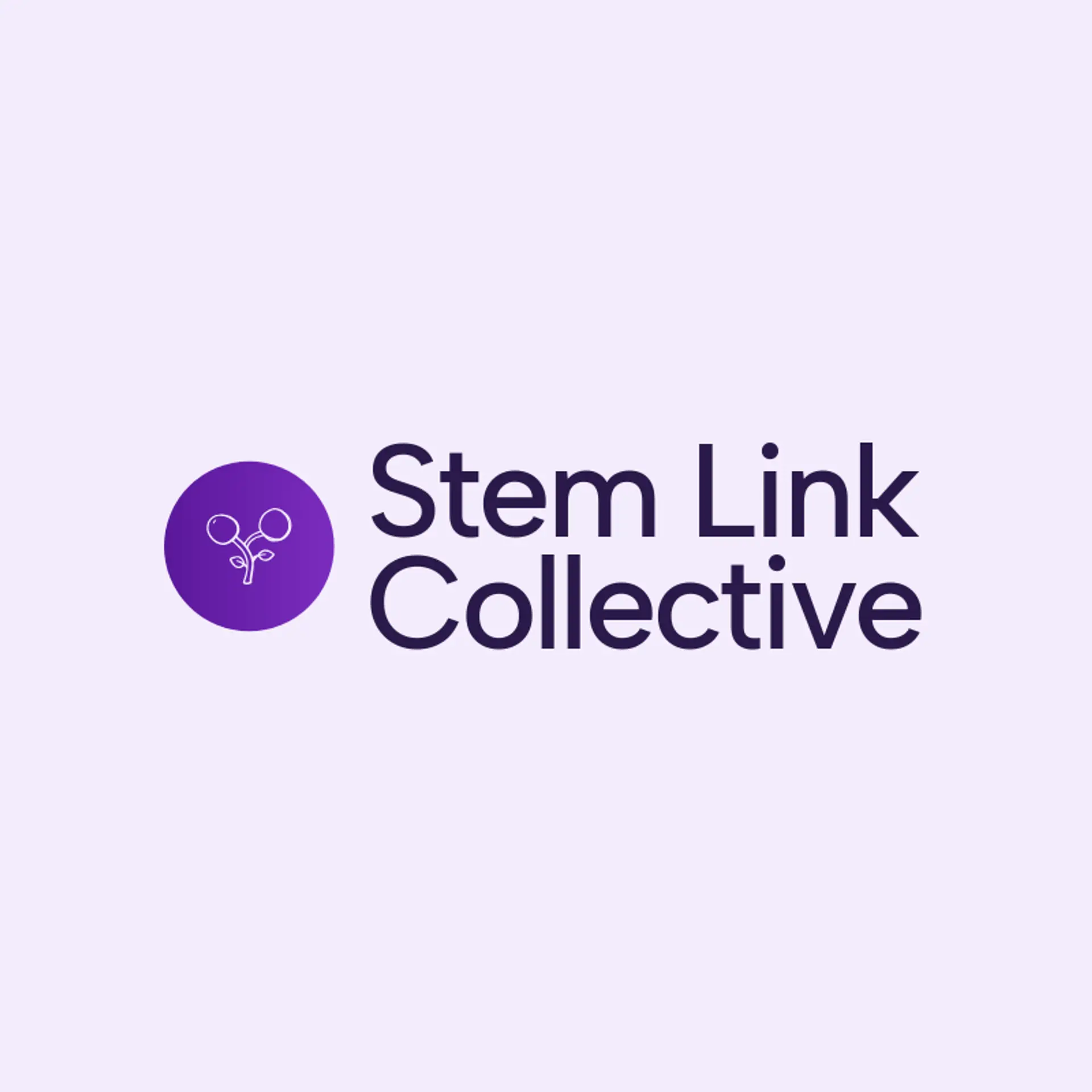 Stem Link Collective logo for stem
