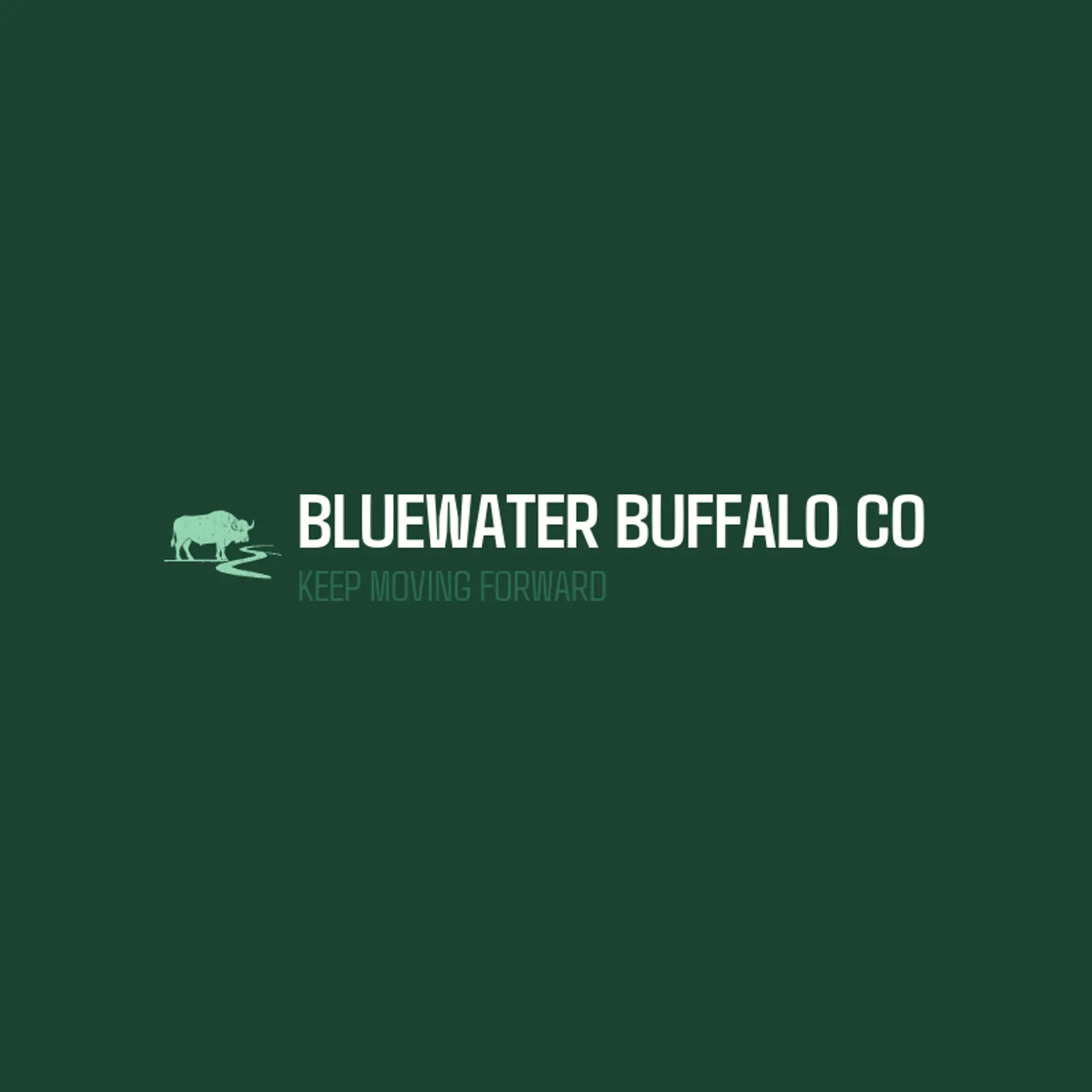 Bluewater Buffalo Co logo for buffalo