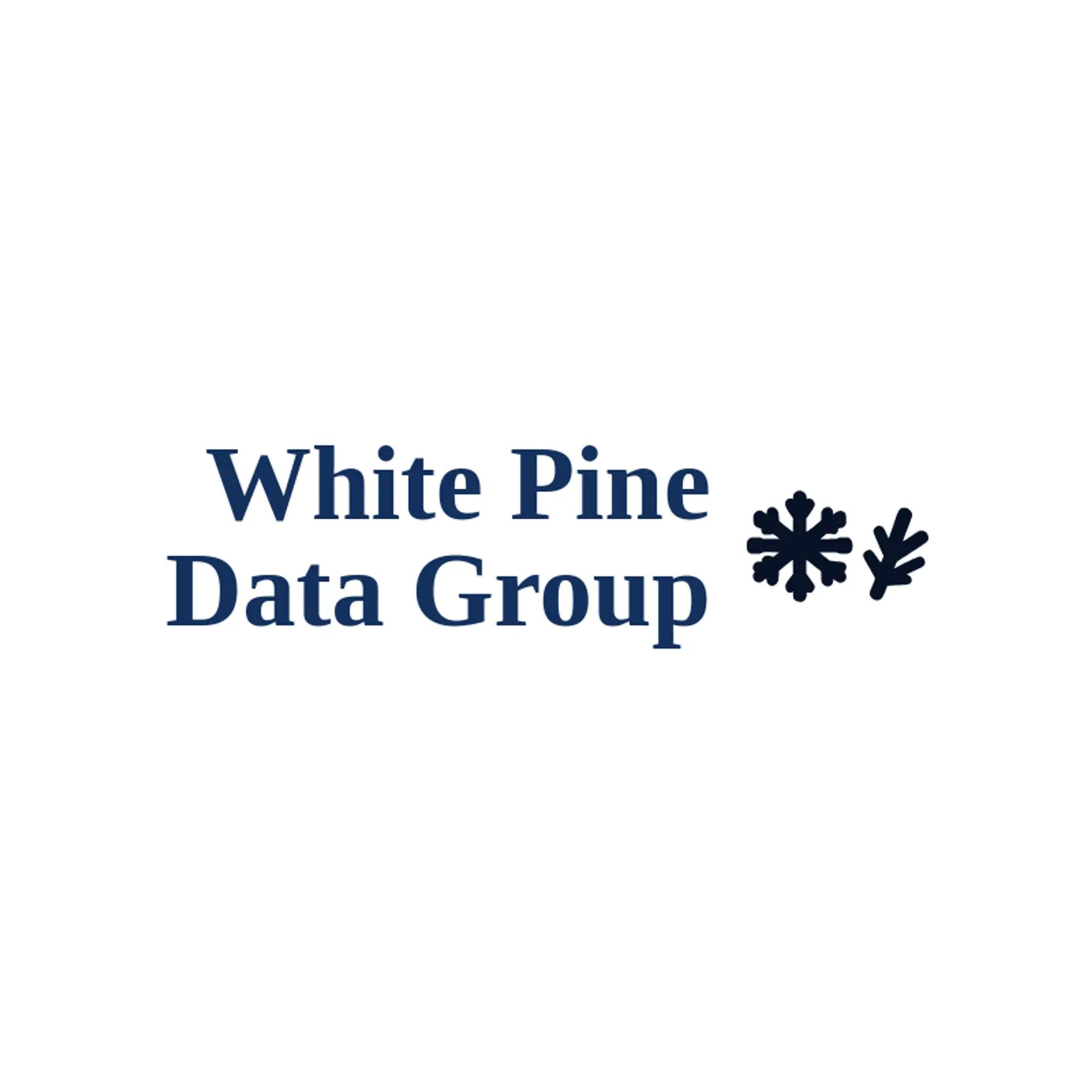 White Pine Data Group logo for snowflake
