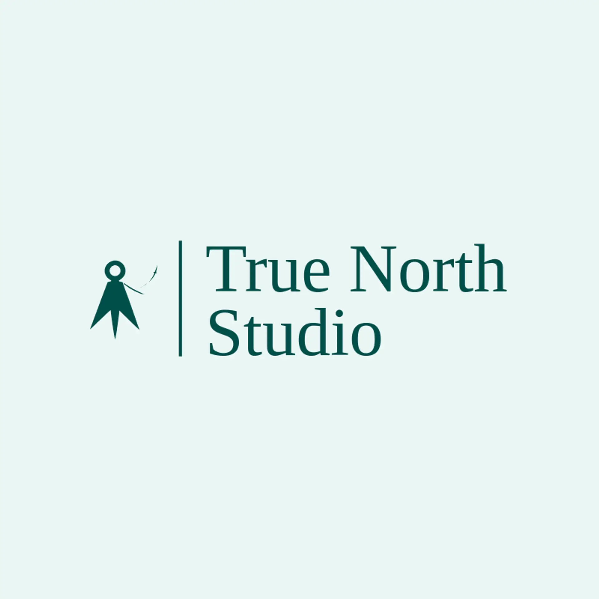 True North Studio logo for shooting star
