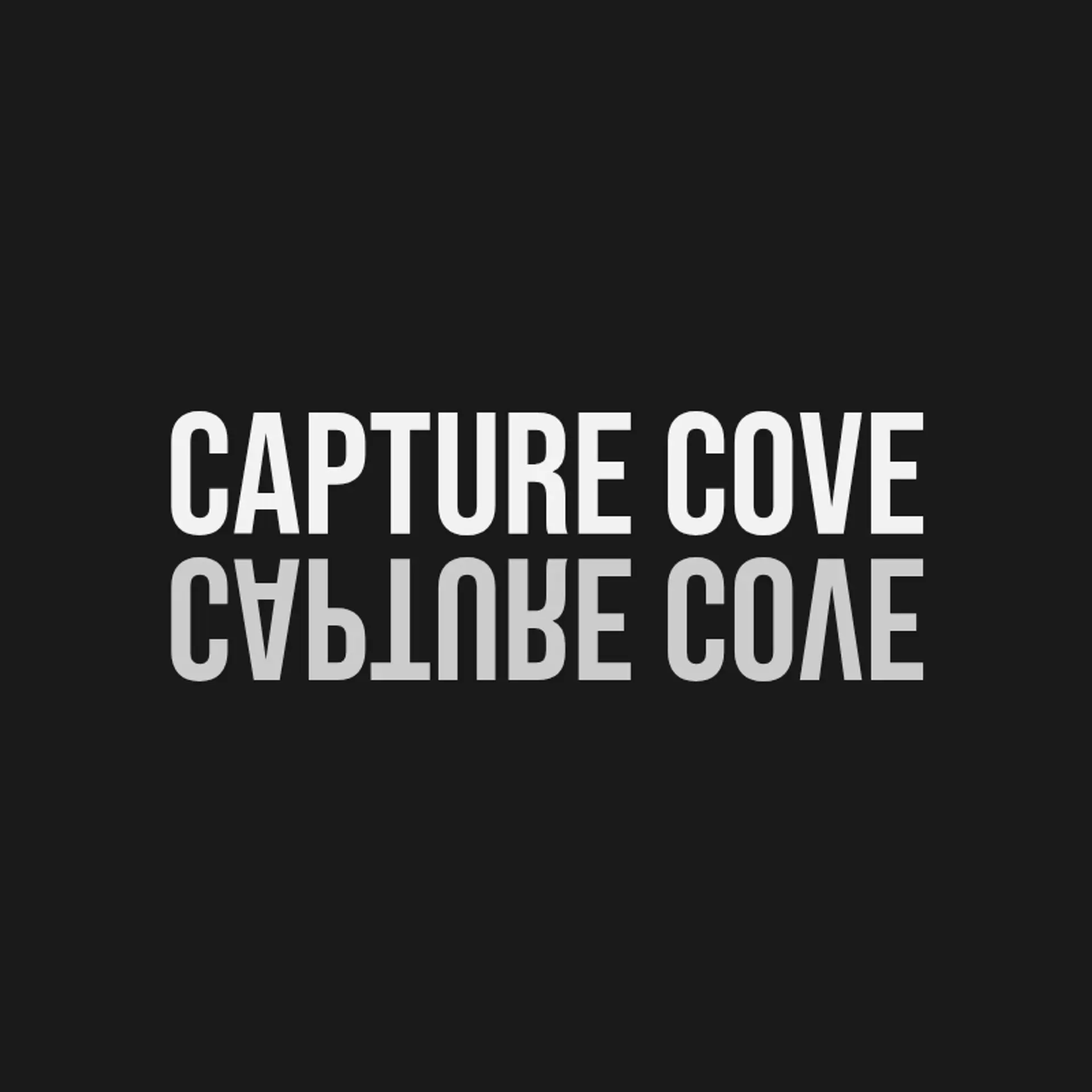 Capture Cove logo for cool photography