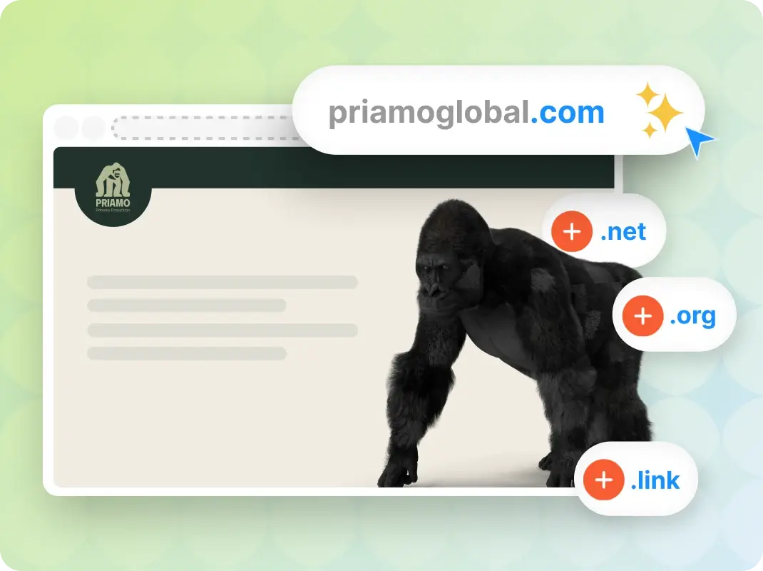 Step 2: Choose Your Domain Extension