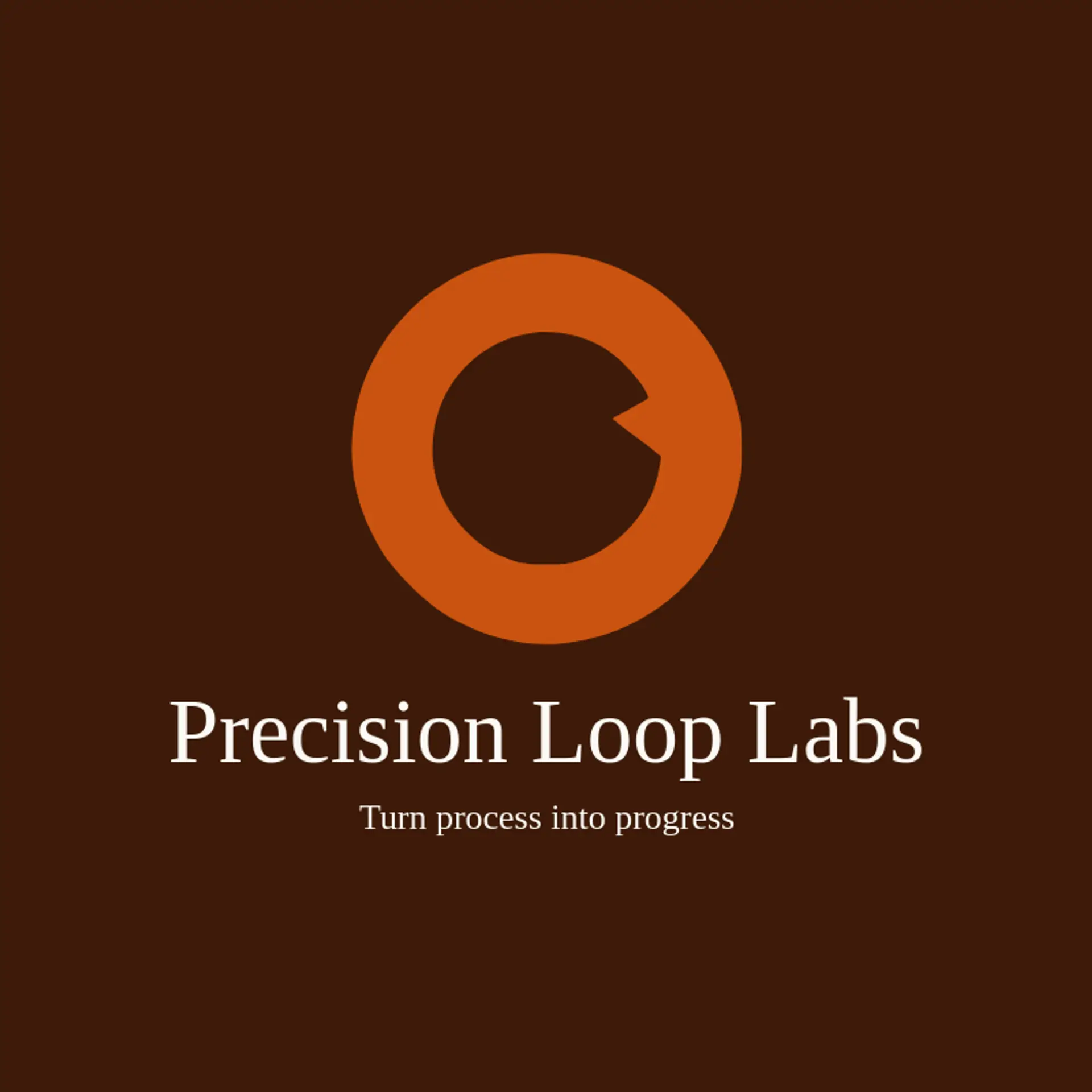 Precision Loop Labs logo for automation