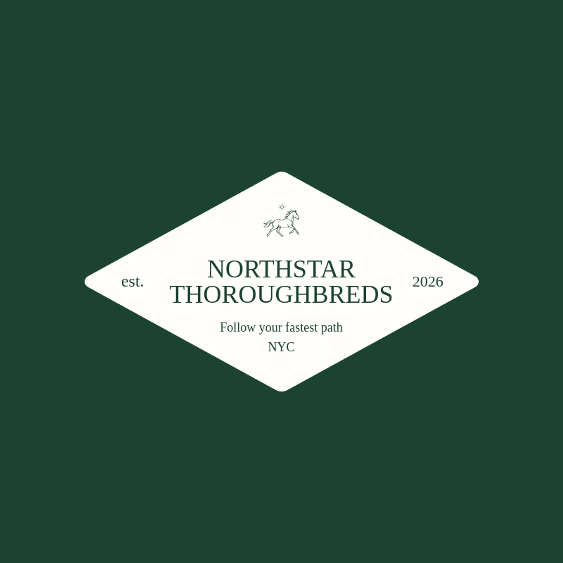 Northstar Thoroughbreds logo for horse racing