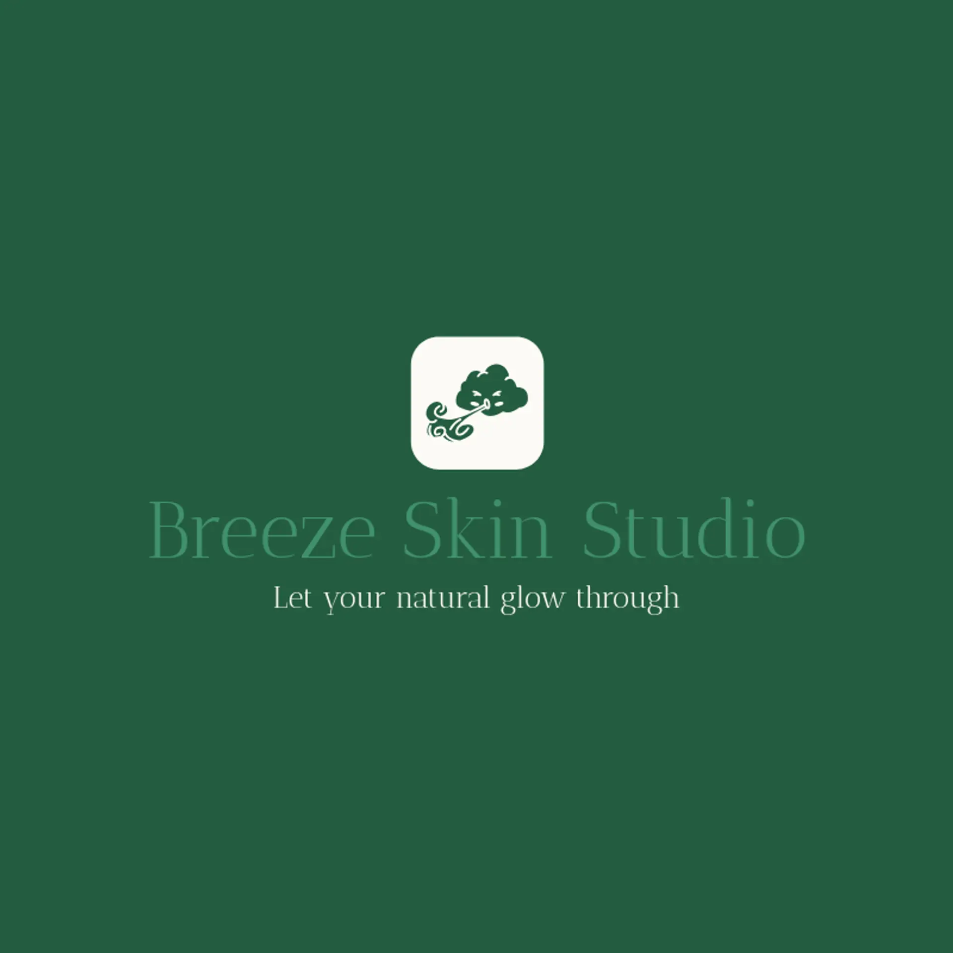 Breeze Skin Studio logo for breeze