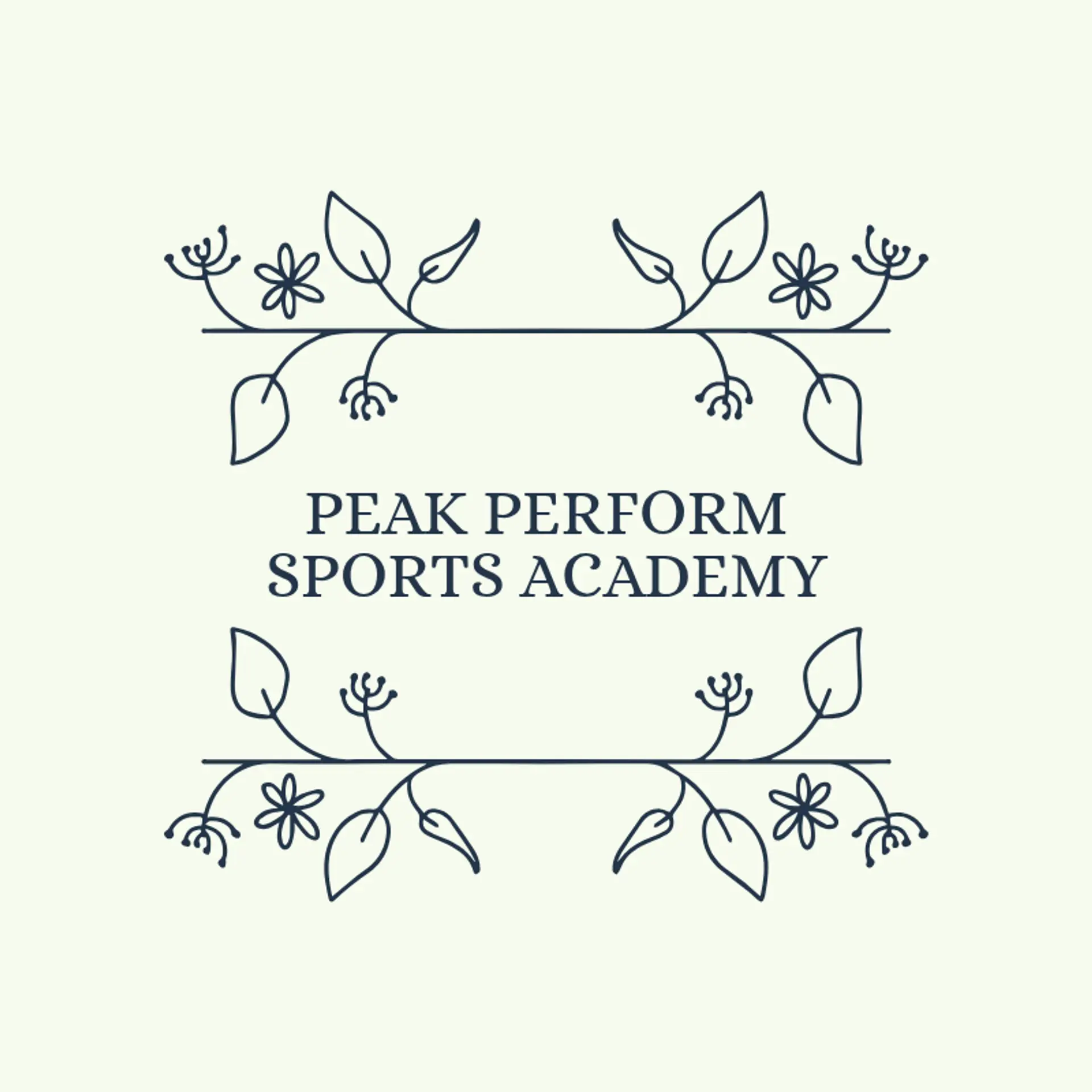 PeakPlay Academy logo for sports academy
