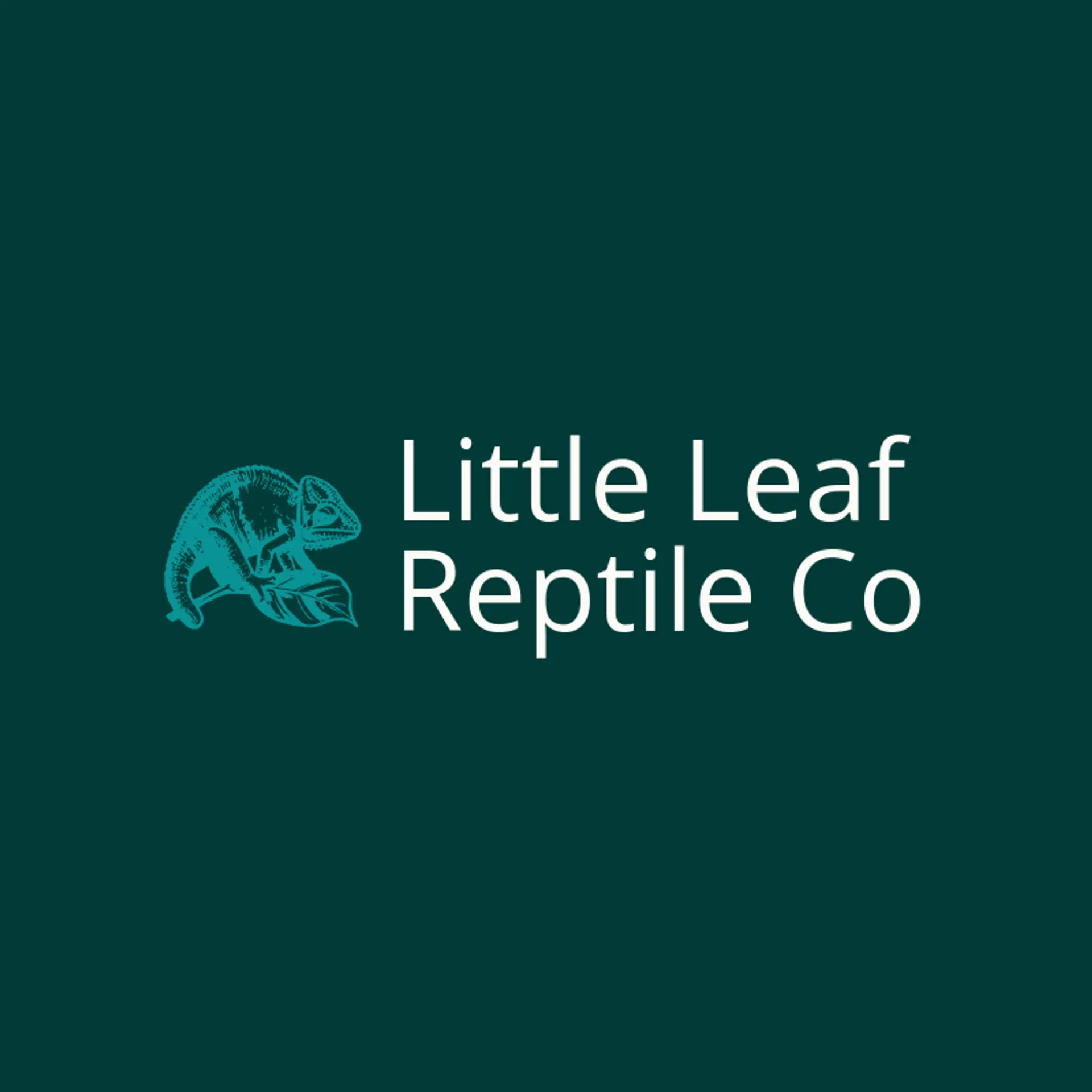Little Leaf Reptile Co logo for chameleon