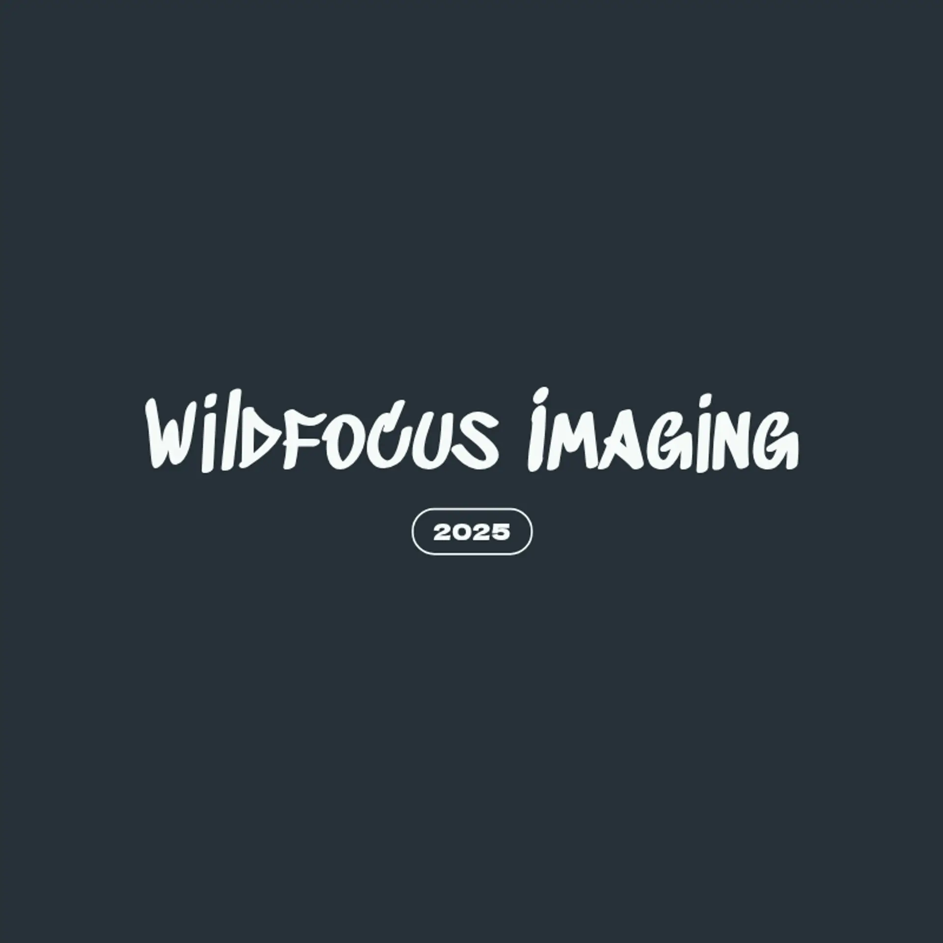 Wilderness Focus Photography logo for wildlife photography