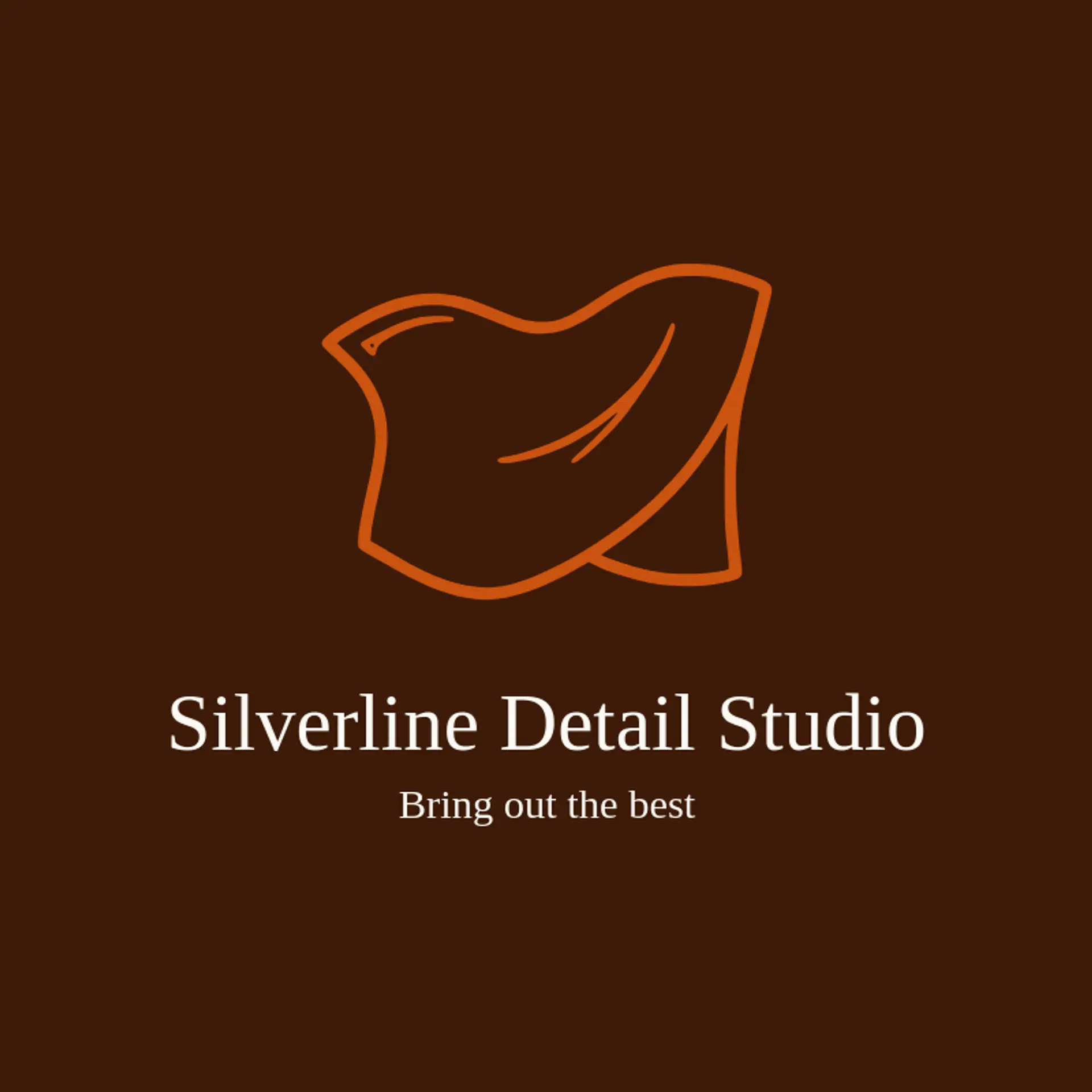 Silverline Detail Studio logo for detail