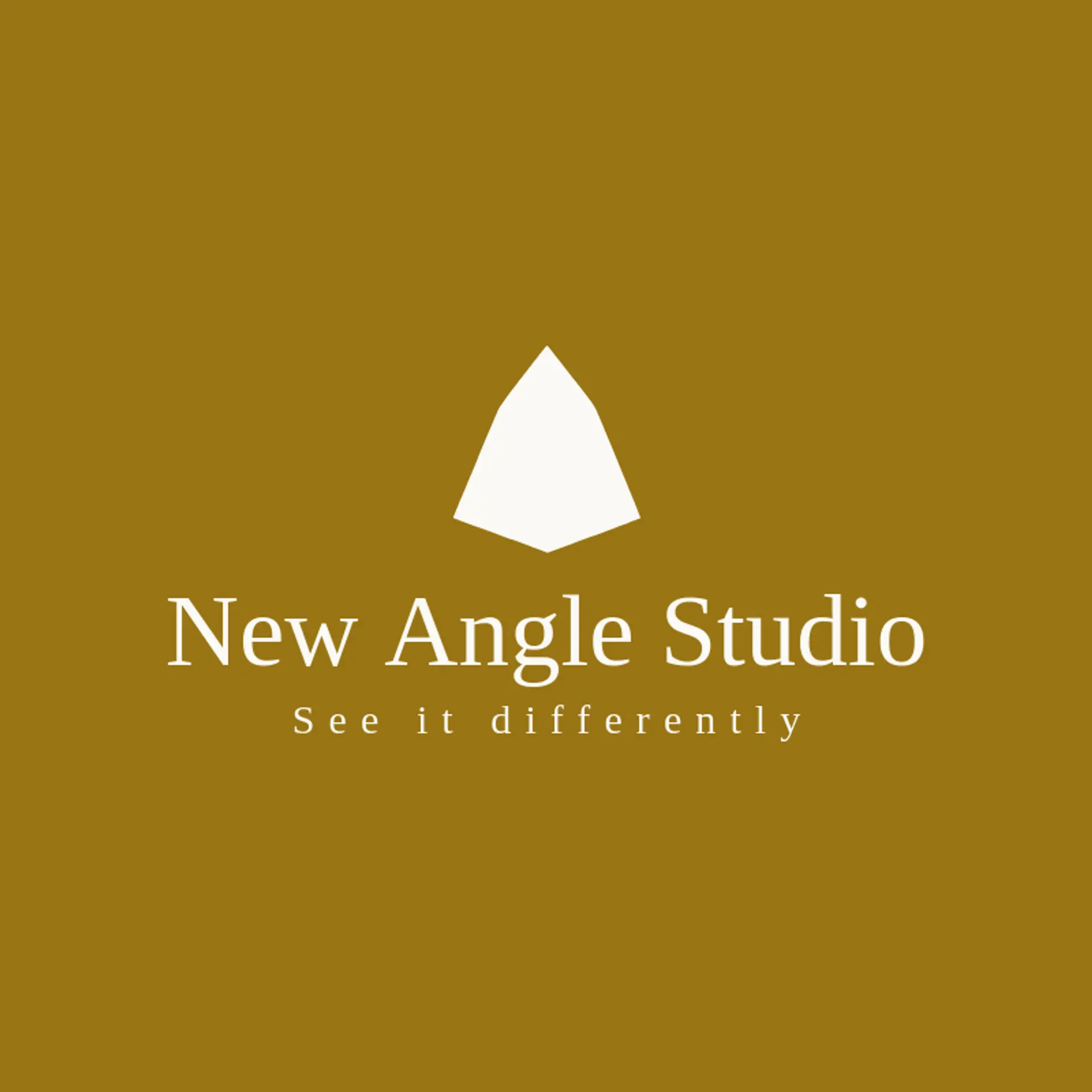New Angle Studio logo for agency