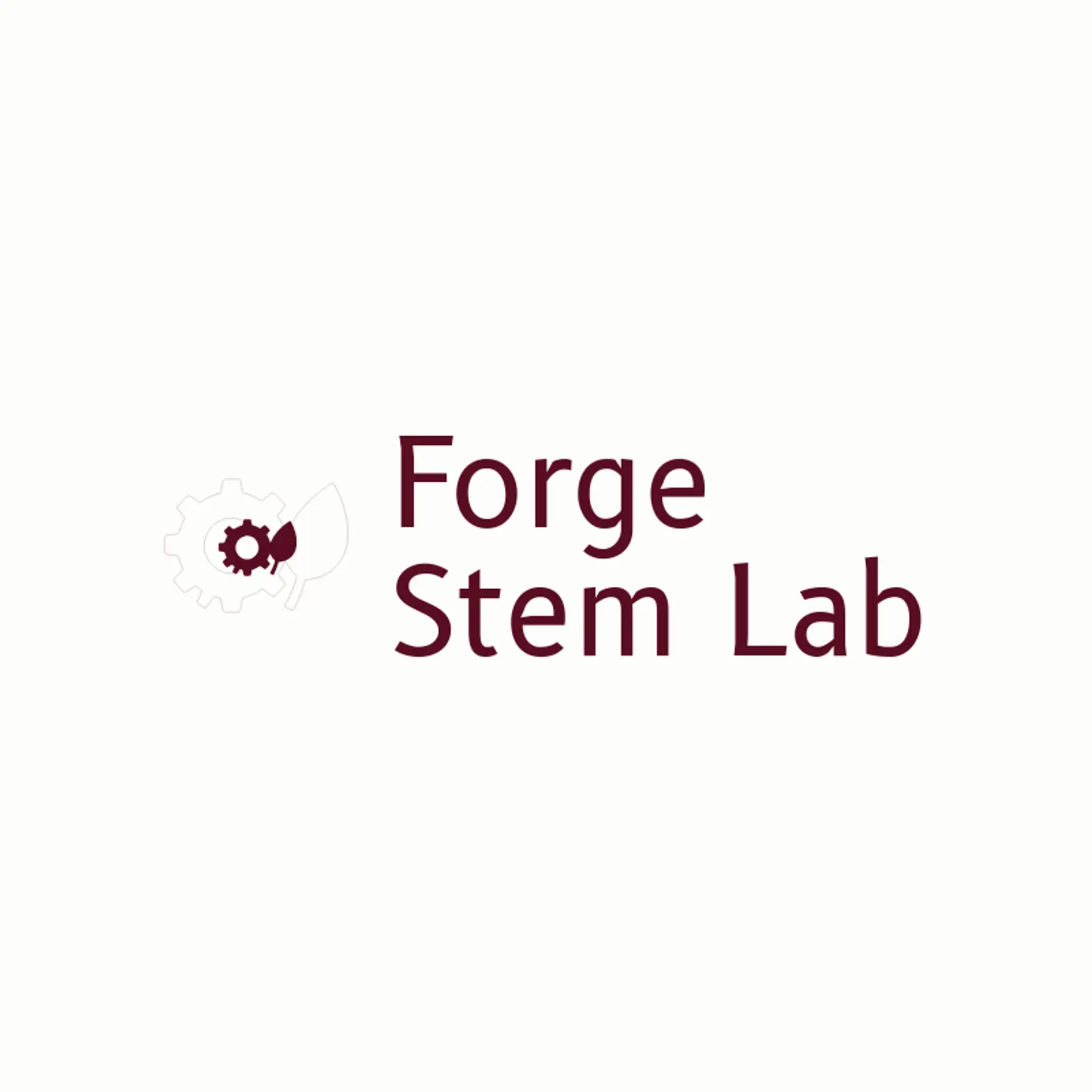 Forge Stem Lab logo for stem