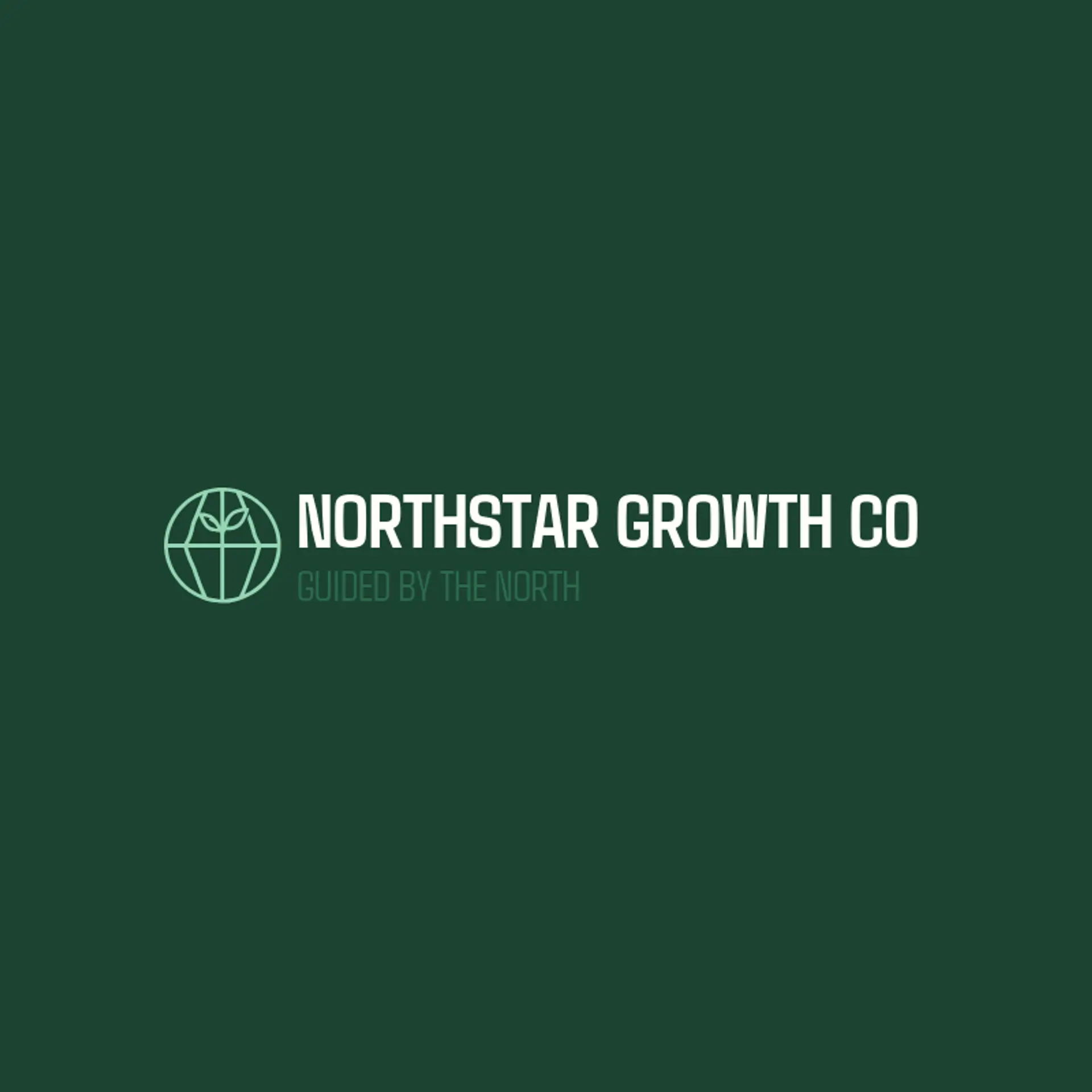 Northstar Growth Co logo for growth