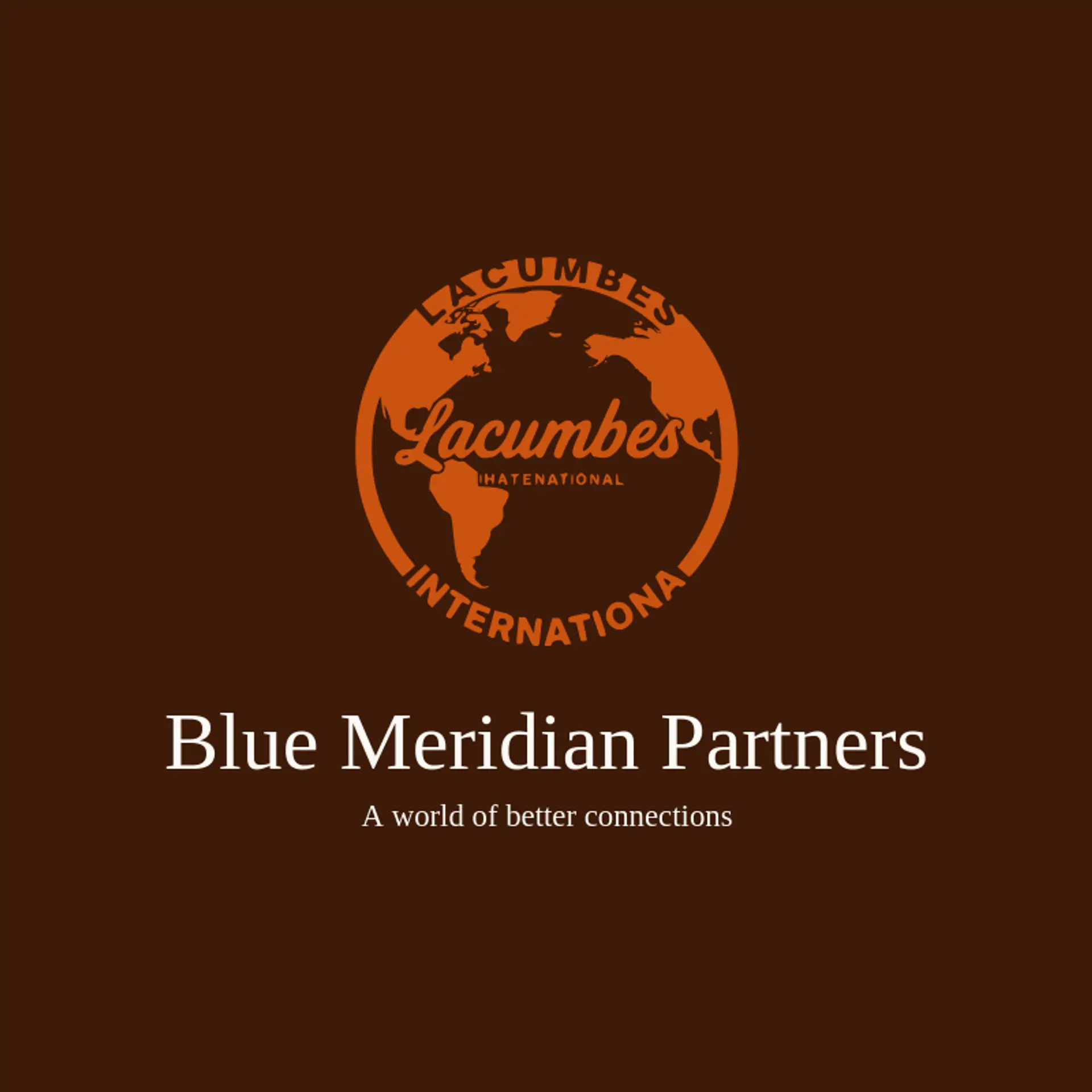 Blue Meridian Partners logo for international