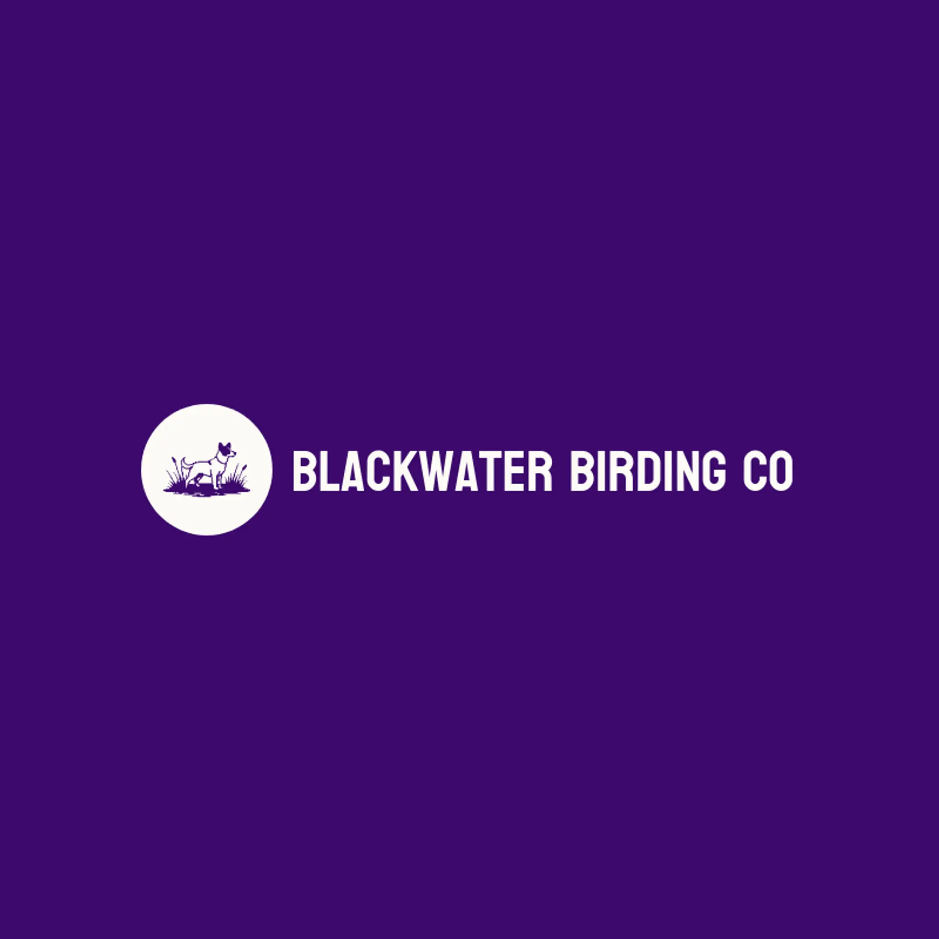 Blackwater Birding Co logo for marsh