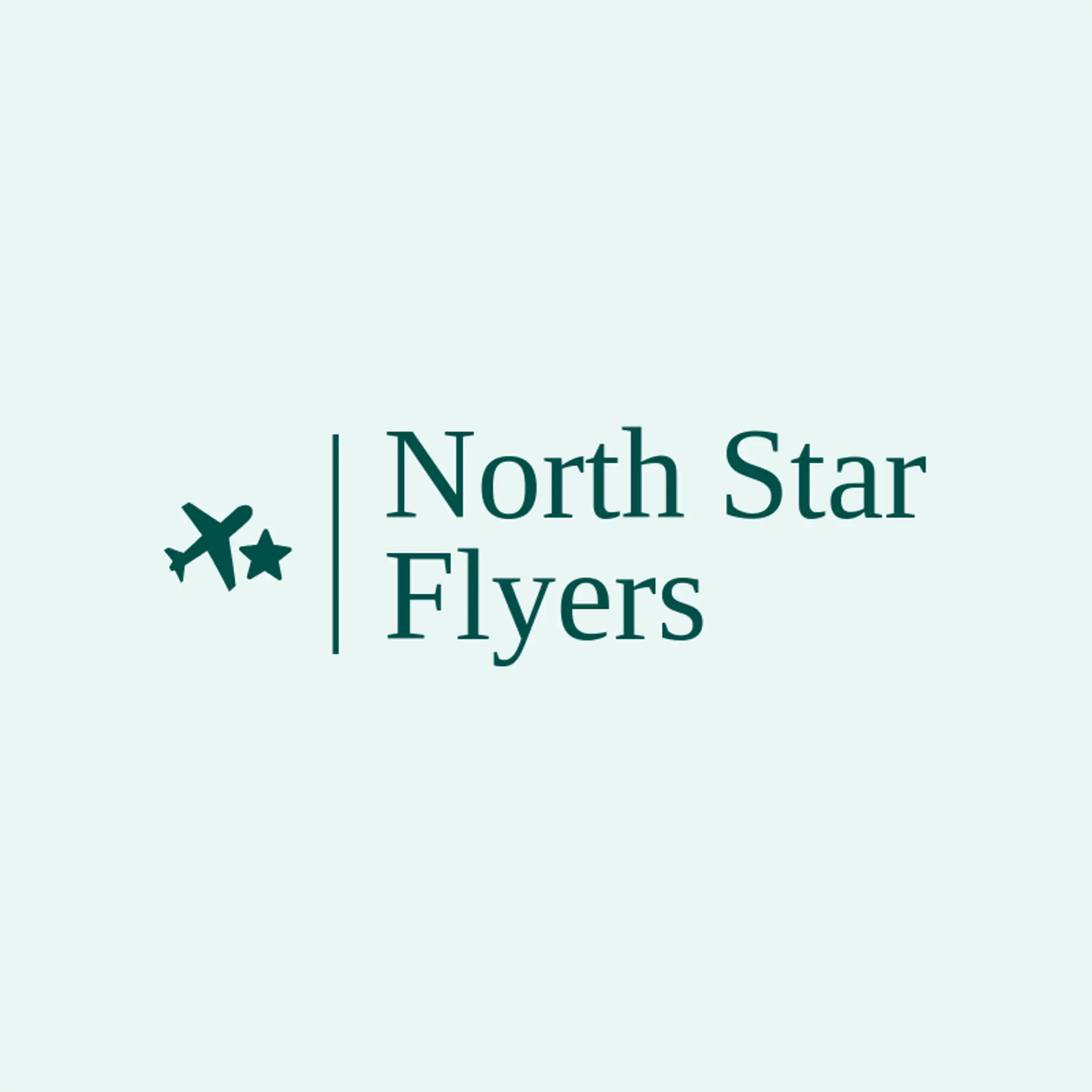 North Star Flyers logo for plane