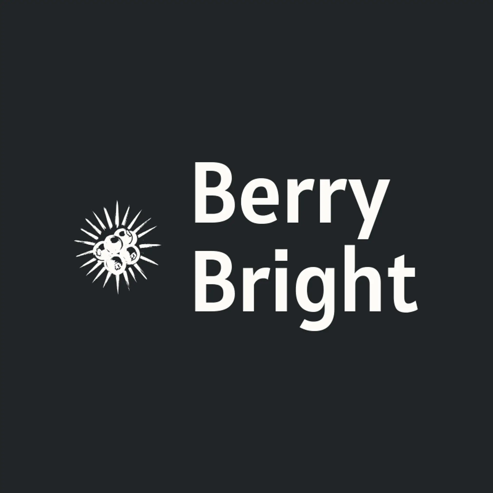Berry Bright logo for soda