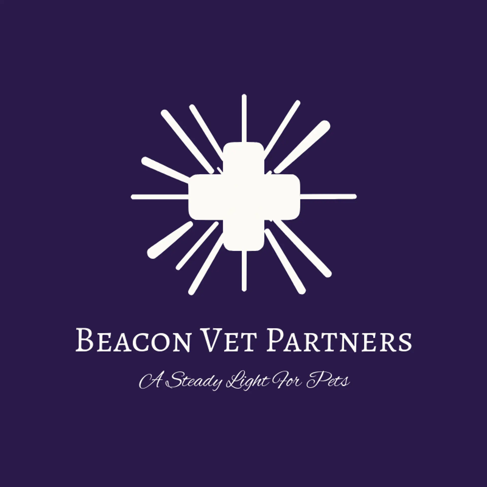 Beacon Vet Partners logo for veterinary