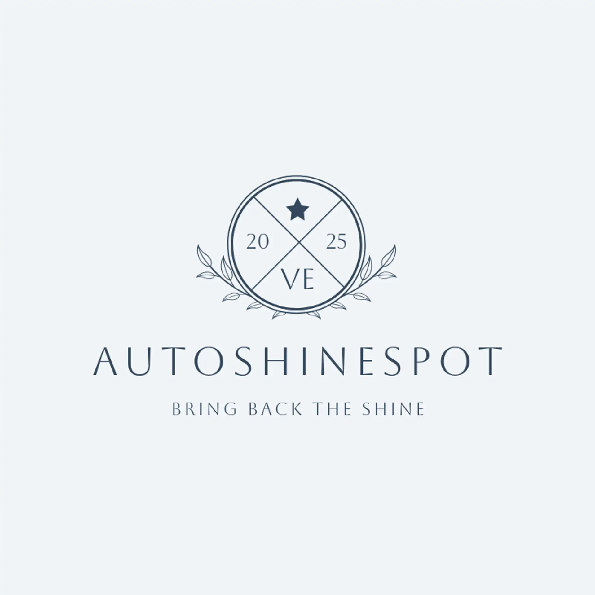 AutoShineSpot logo for auto spa