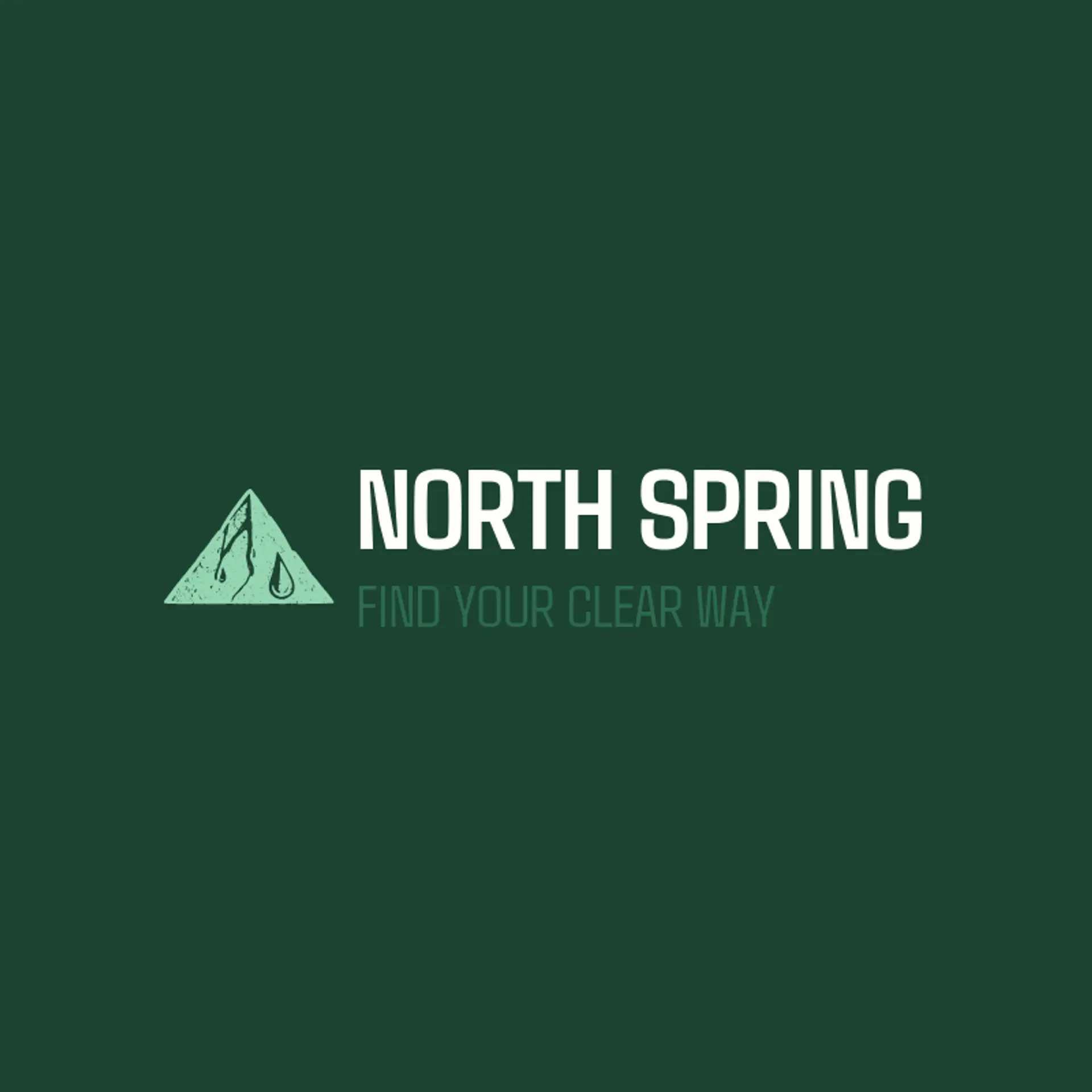 North Spring logo for water bottle