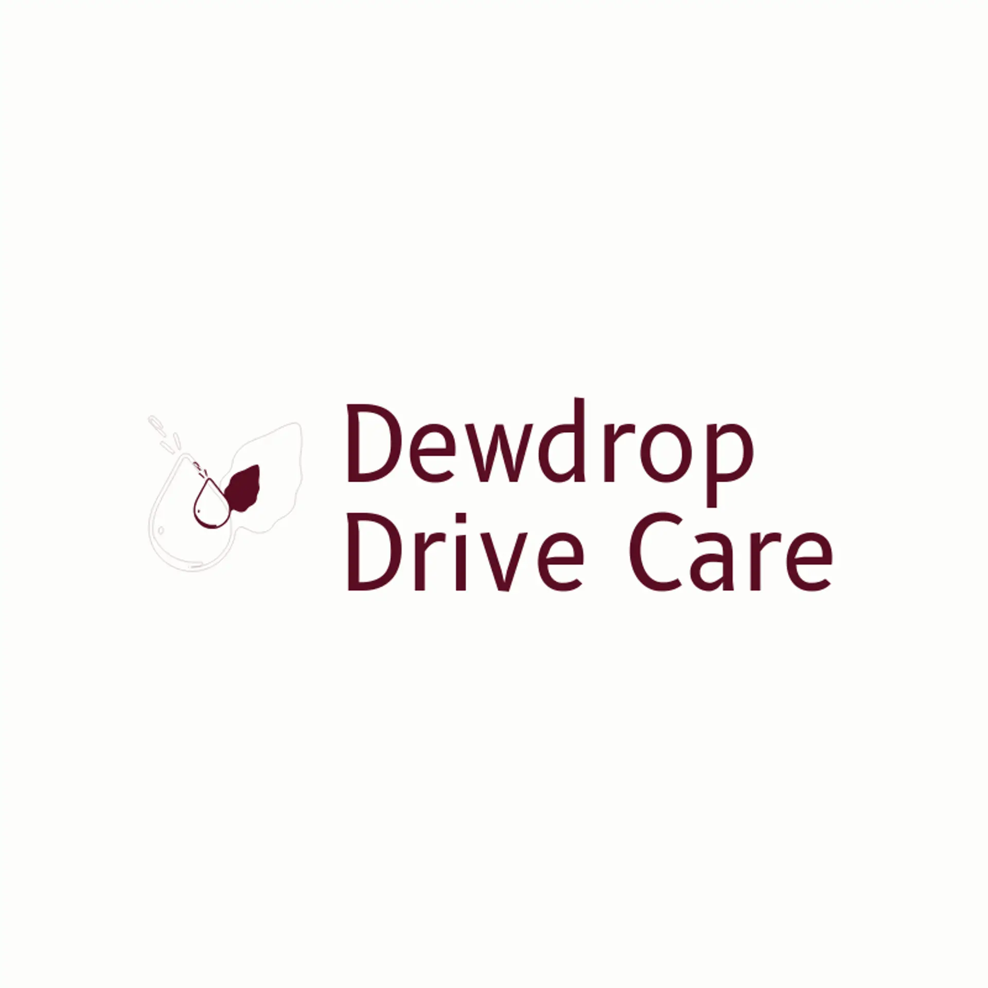 Dewdrop Drive Care logo for pressure wash