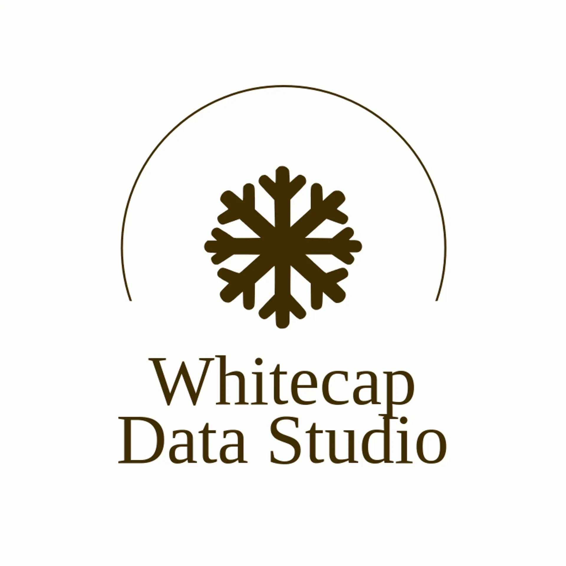 Whitecap Data Studio logo for snowflake