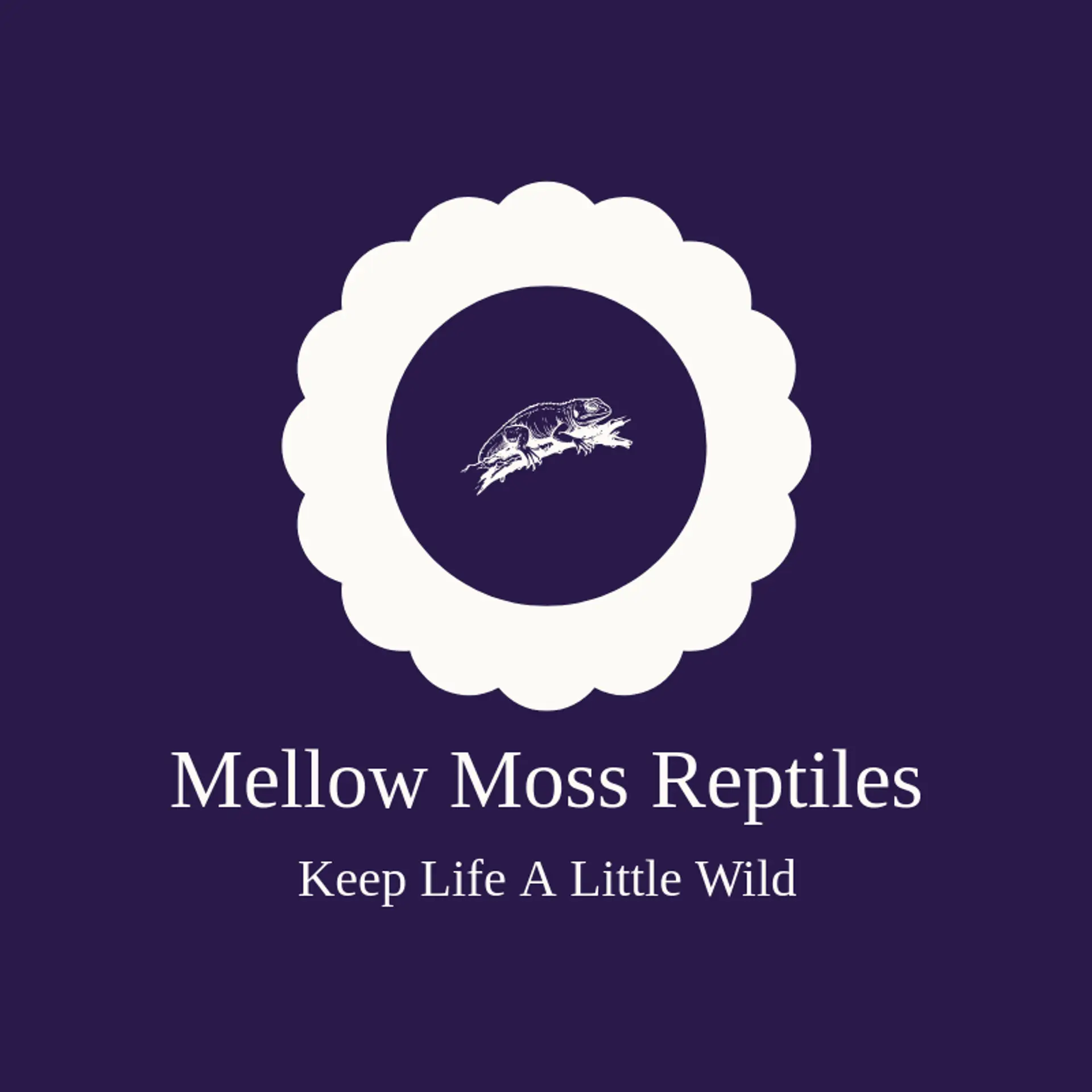 Mellow Moss Reptiles logo for lizard