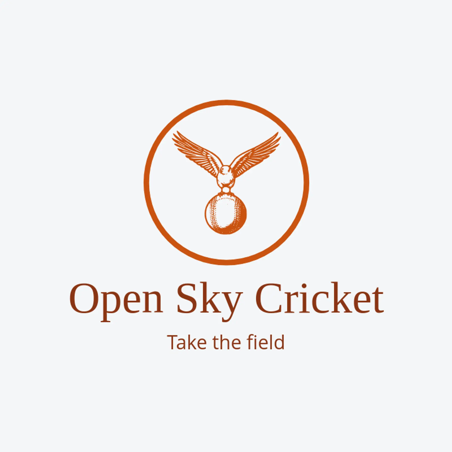 Open Sky Cricket logo for cricket team