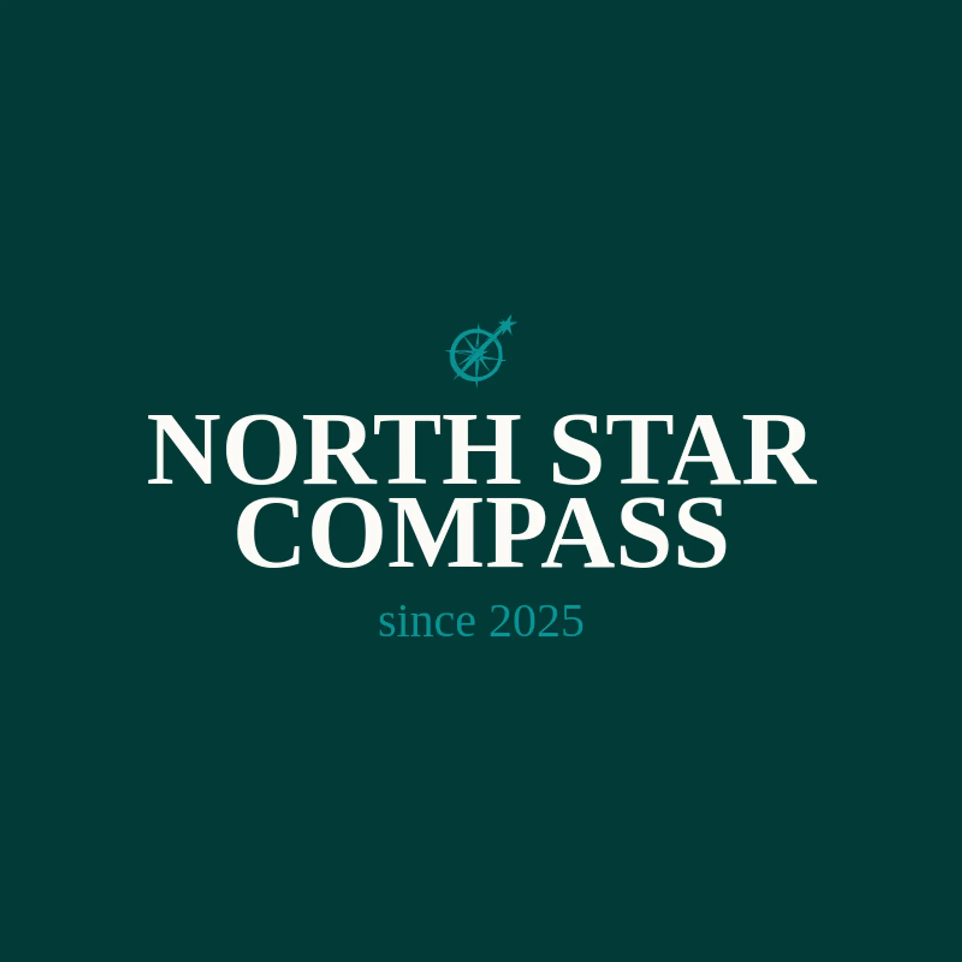 North Star Compass logo for shooting star