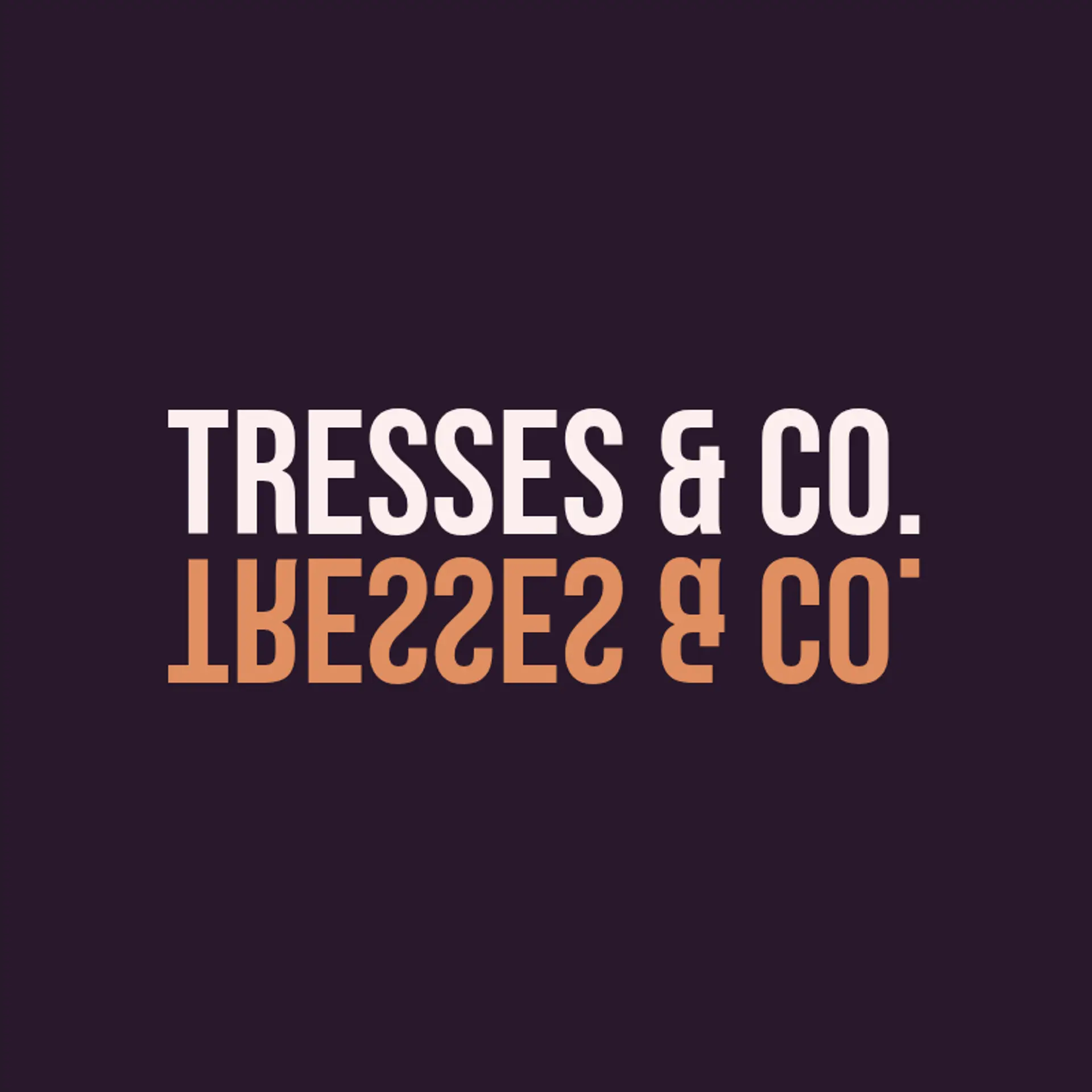 Tresses & Co. logo for hair salon
