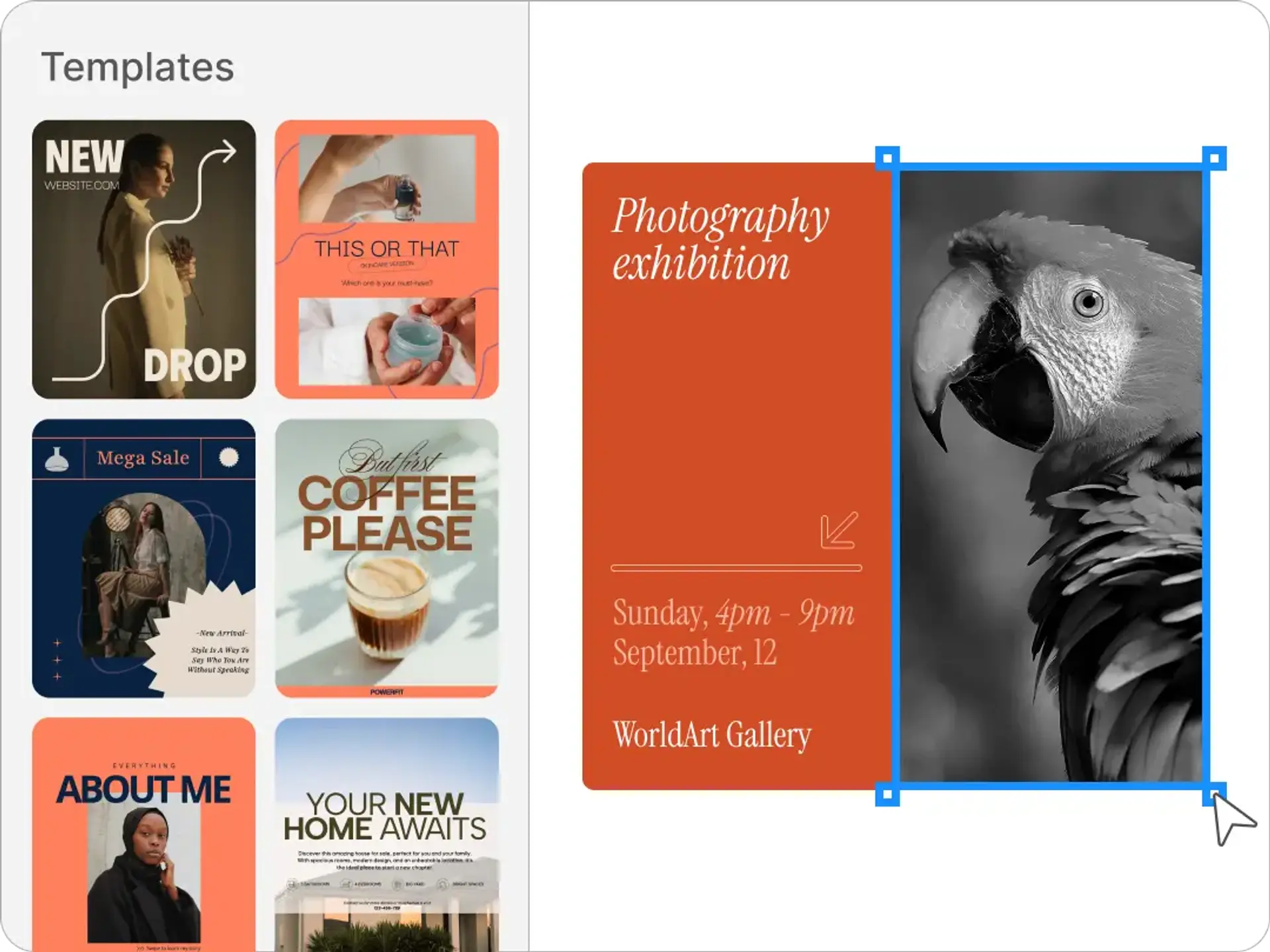 Design with your new image