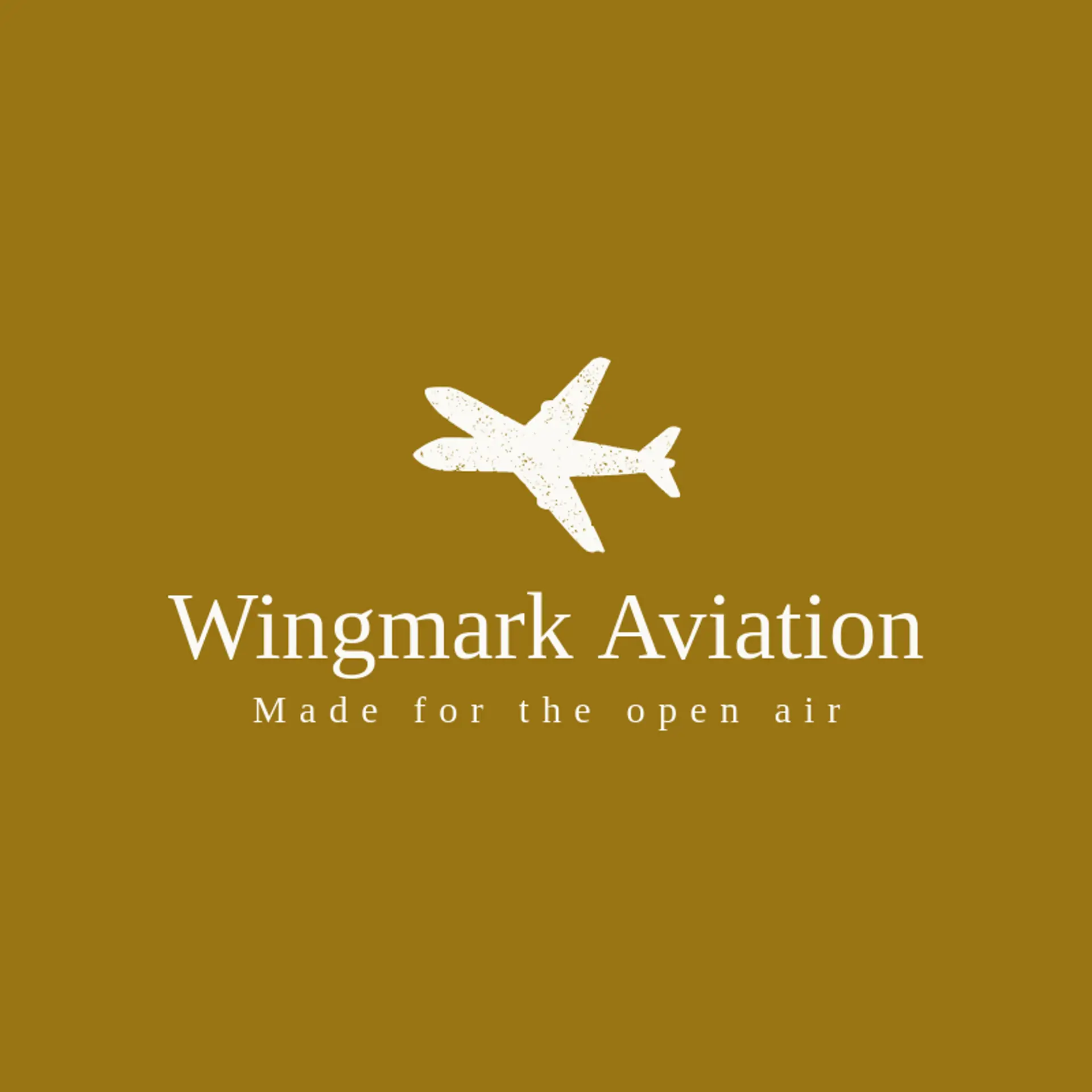 Wingmark Aviation logo for plane