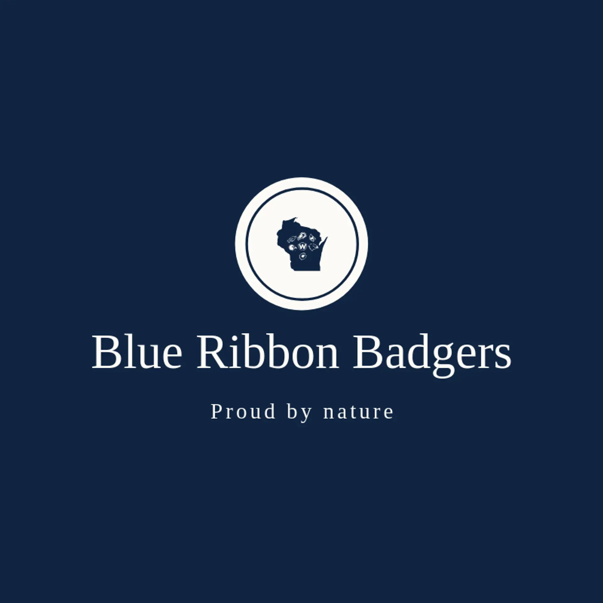 Blue Ribbon Badgers logo for wisconsin