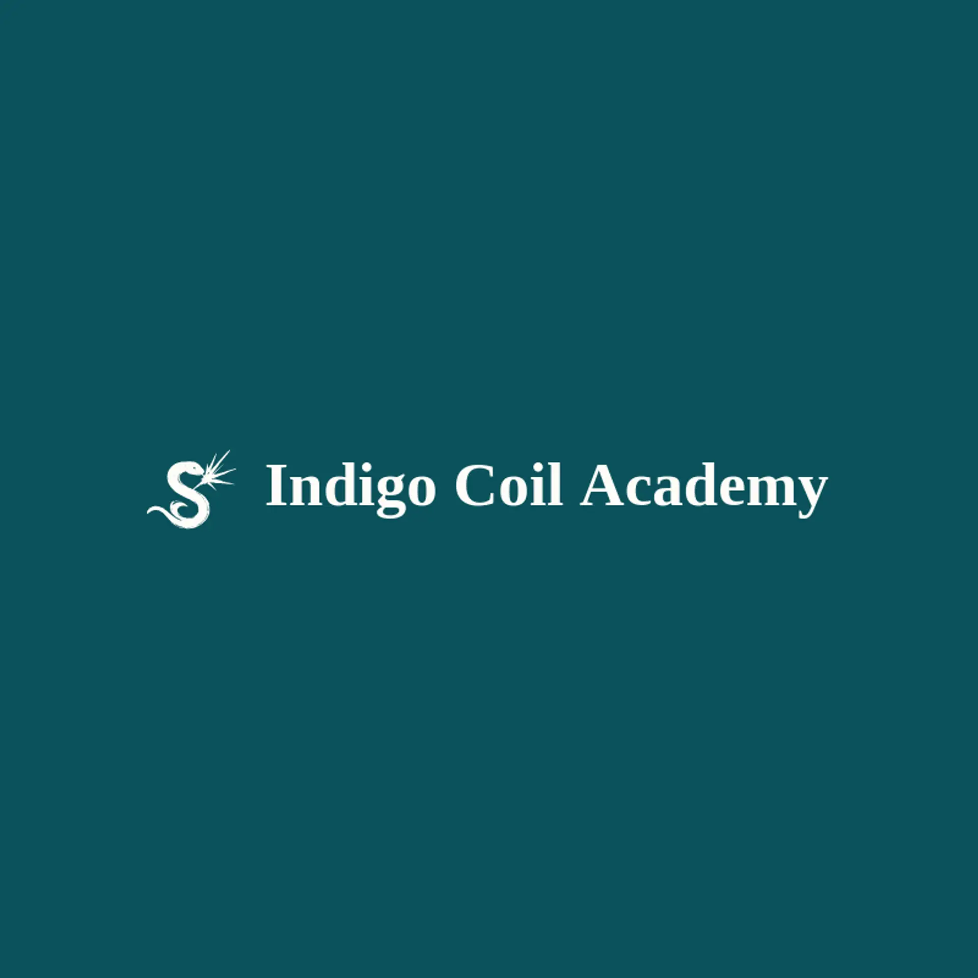 Indigo Coil Academy logo for python